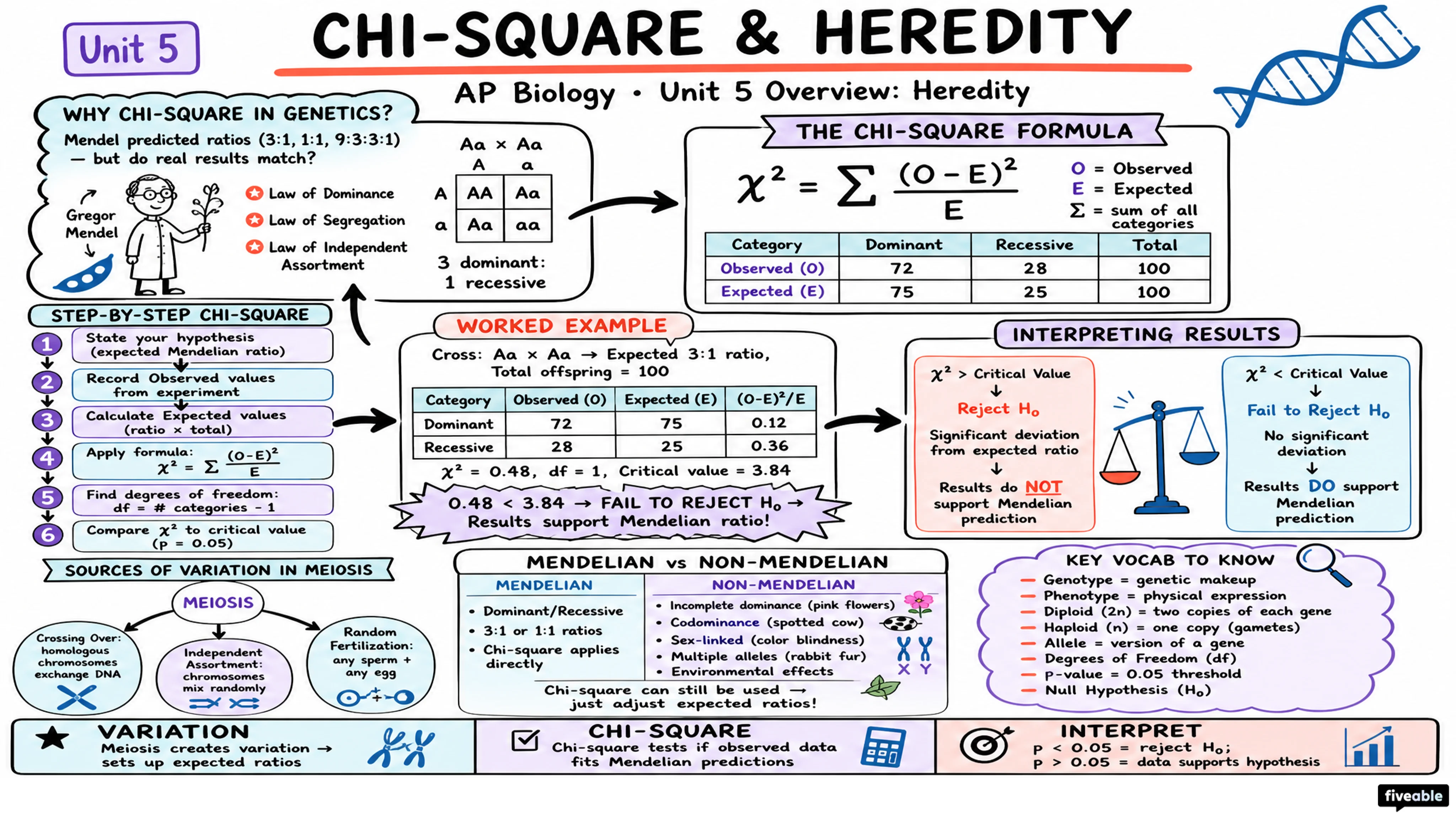 Unit 5 Overview: Heredity - AP Biology - Unit 5 visual cheatsheet
