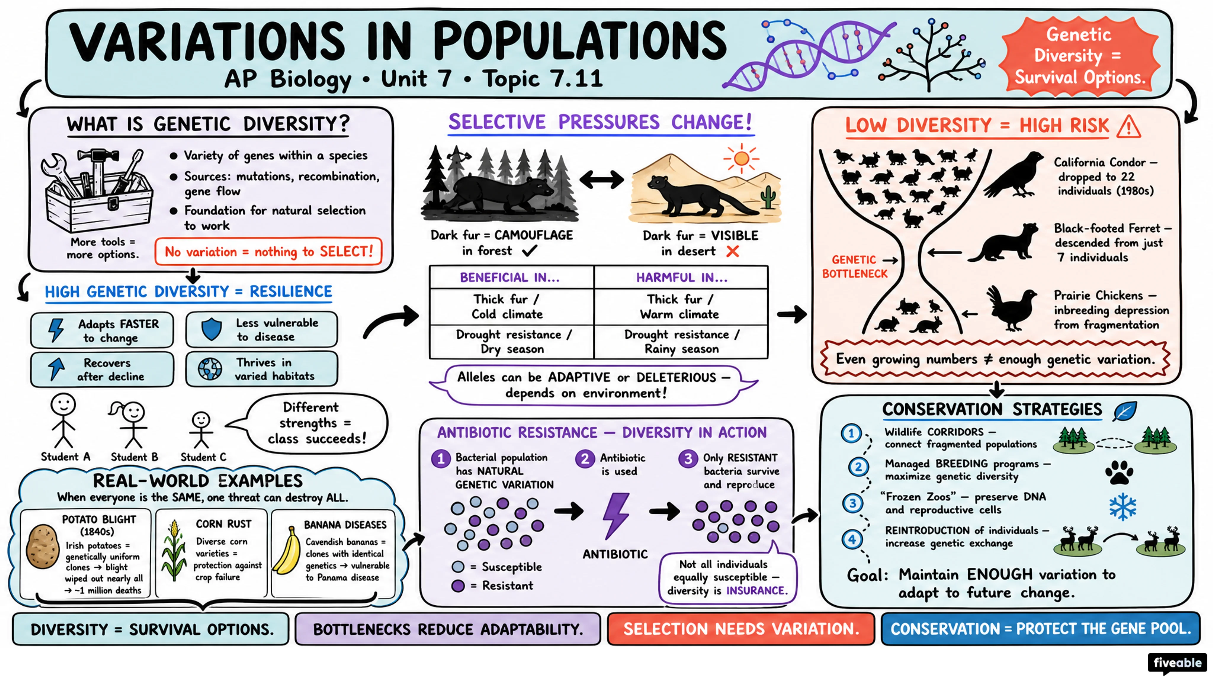 7.11 Variations in Populations - AP Biology - Unit 7 visual cheatsheet