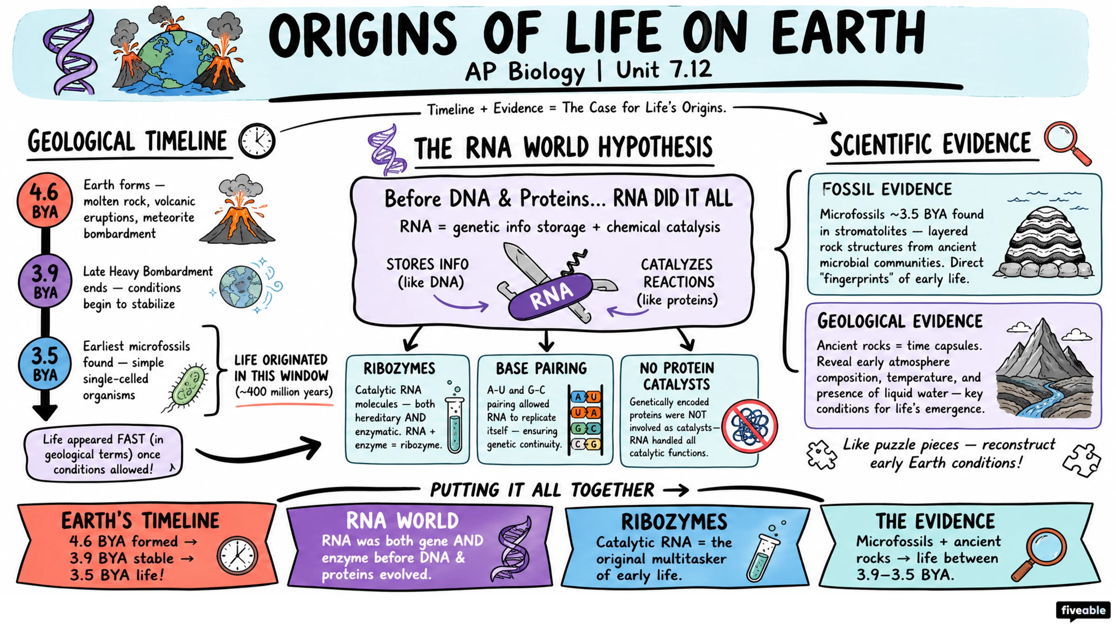 7.12 Origins of Life on Earth - AP Biology - Unit 7 visual cheatsheet