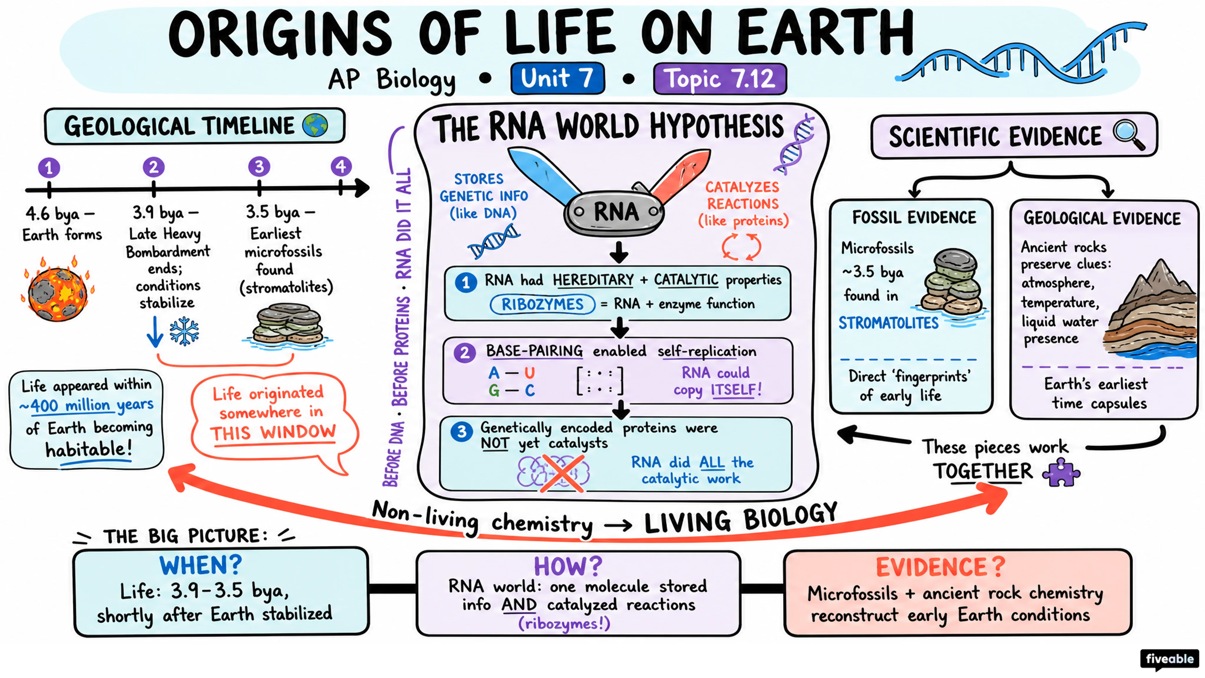 7.12 Origins of Life on Earth - AP Biology - Unit 7 visual cheatsheet