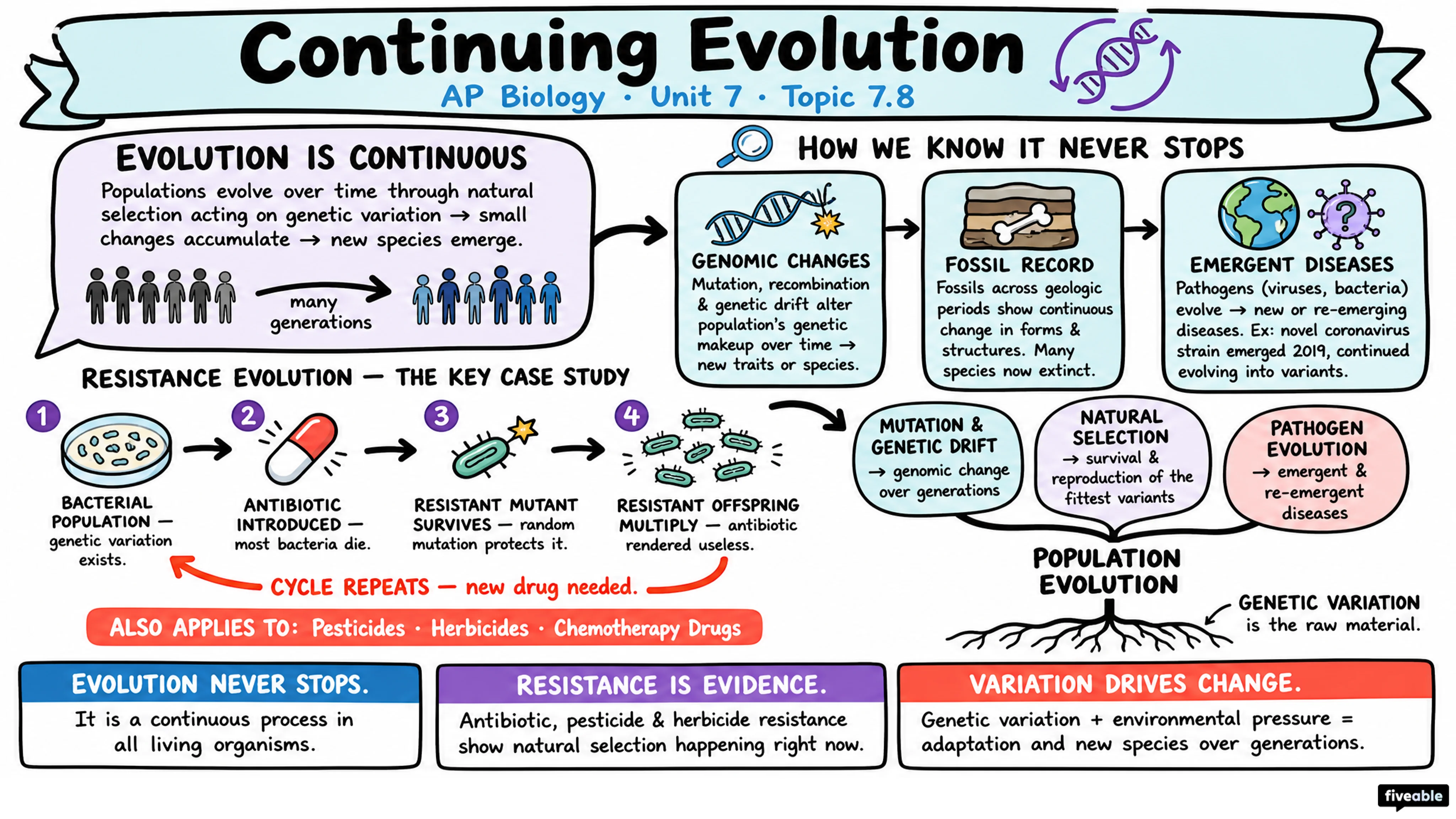7.8 Continuing Evolution - AP Biology - Unit 7 visual cheatsheet