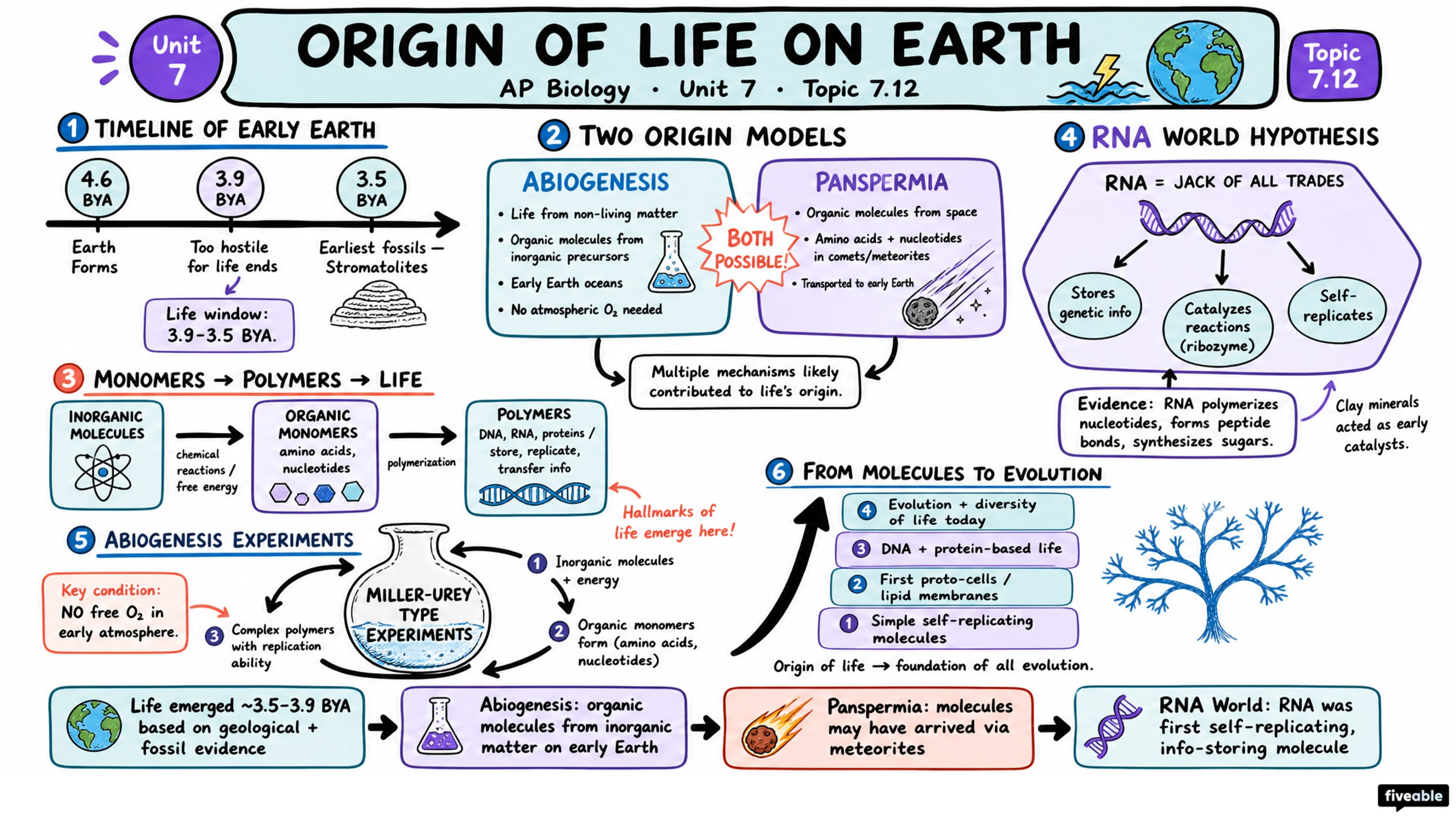 Origin of Life on Earth Review - AP Biology - Unit 7 visual cheatsheet
