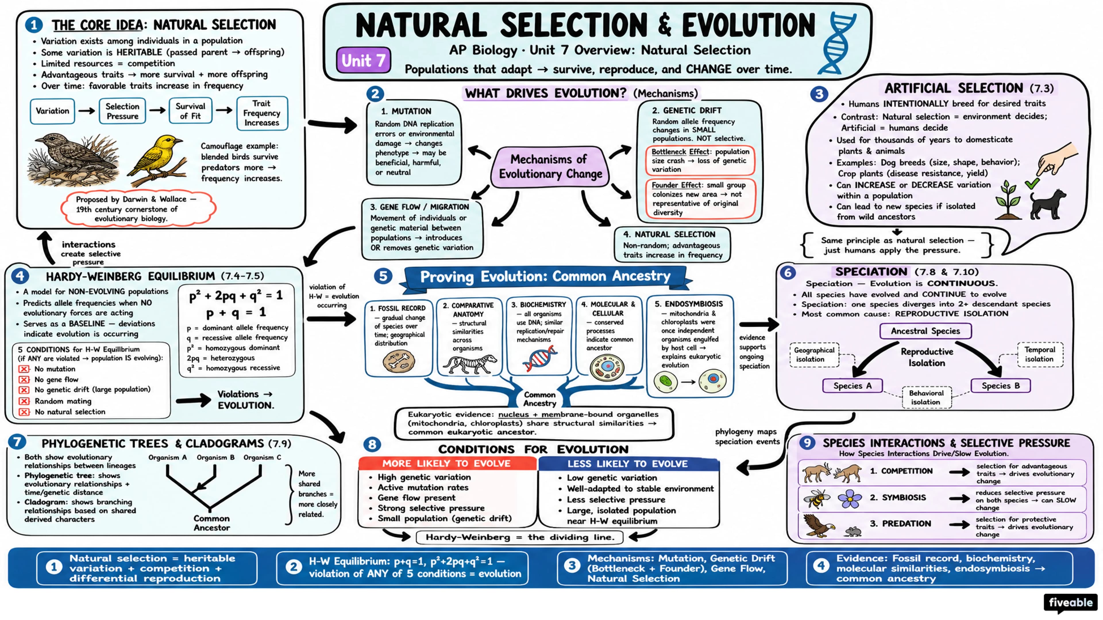 Unit 7 Overview: Natural Selection - AP Biology - Unit 7 visual cheatsheet