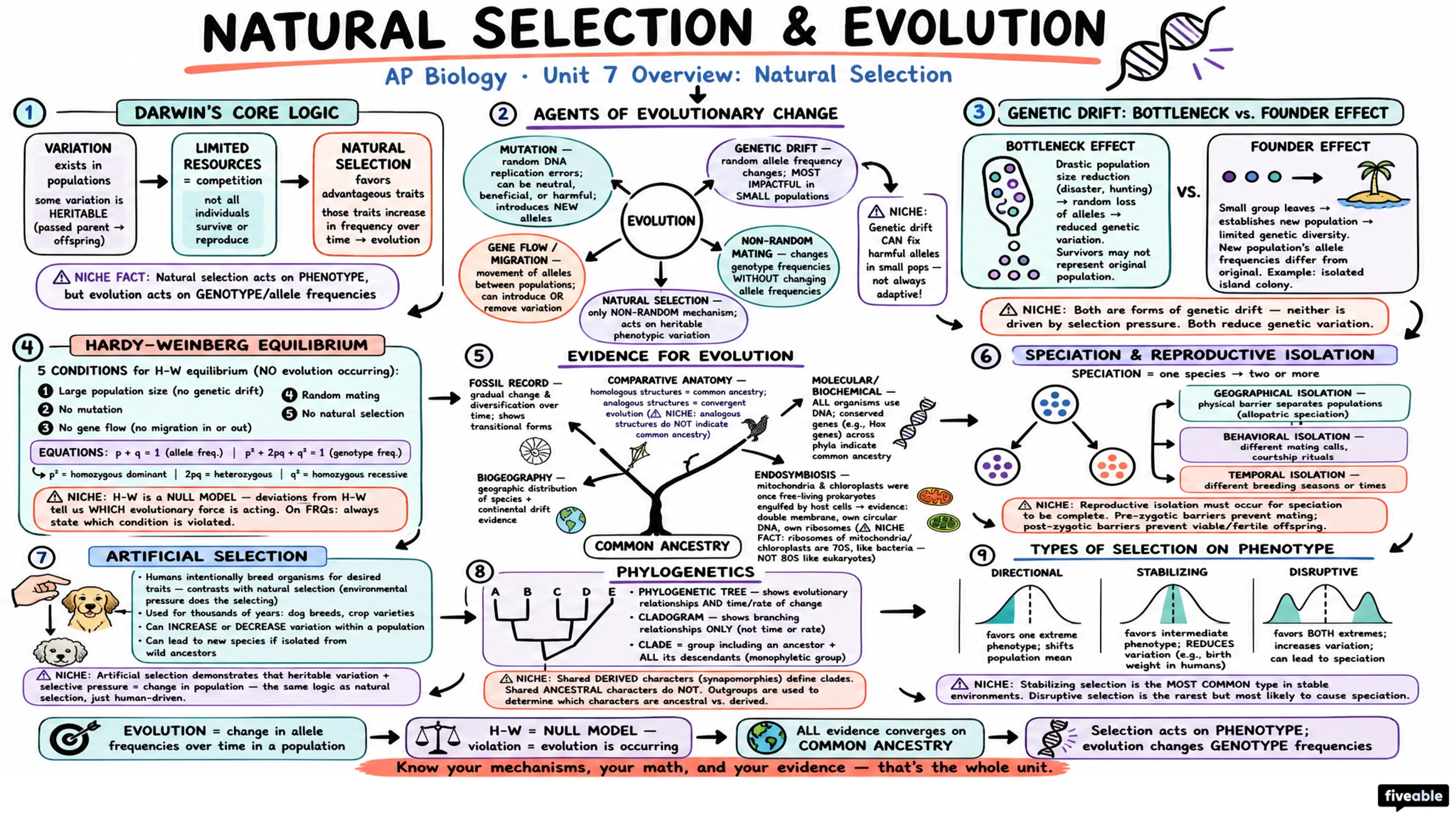 Unit 7 Overview: Natural Selection - AP Biology - Unit 7 visual cheatsheet