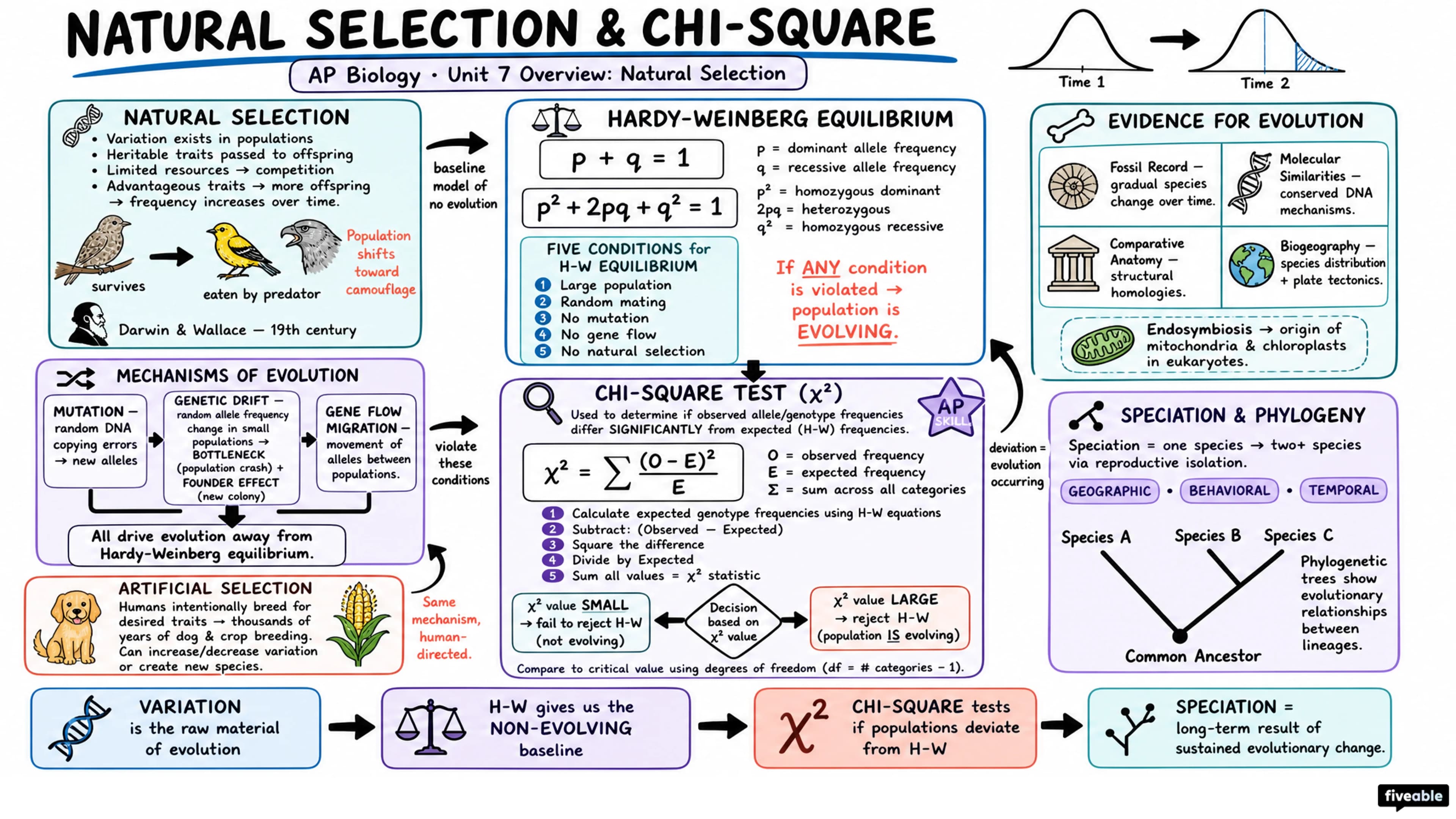 Unit 7 Overview: Natural Selection - AP Biology - Unit 7 visual cheatsheet