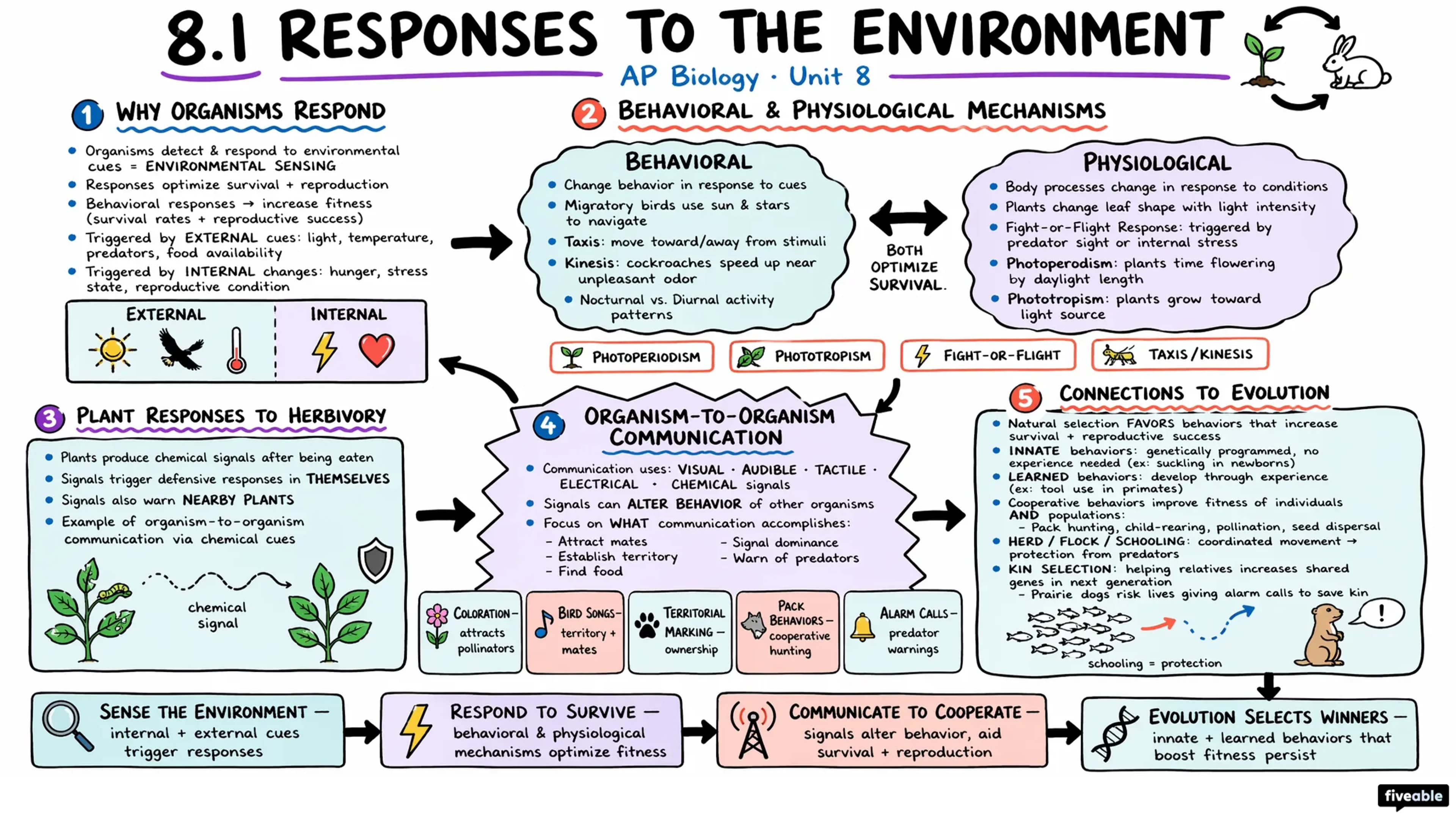 8.1 Responses to the Environment - AP Biology - Unit 8 visual cheatsheet