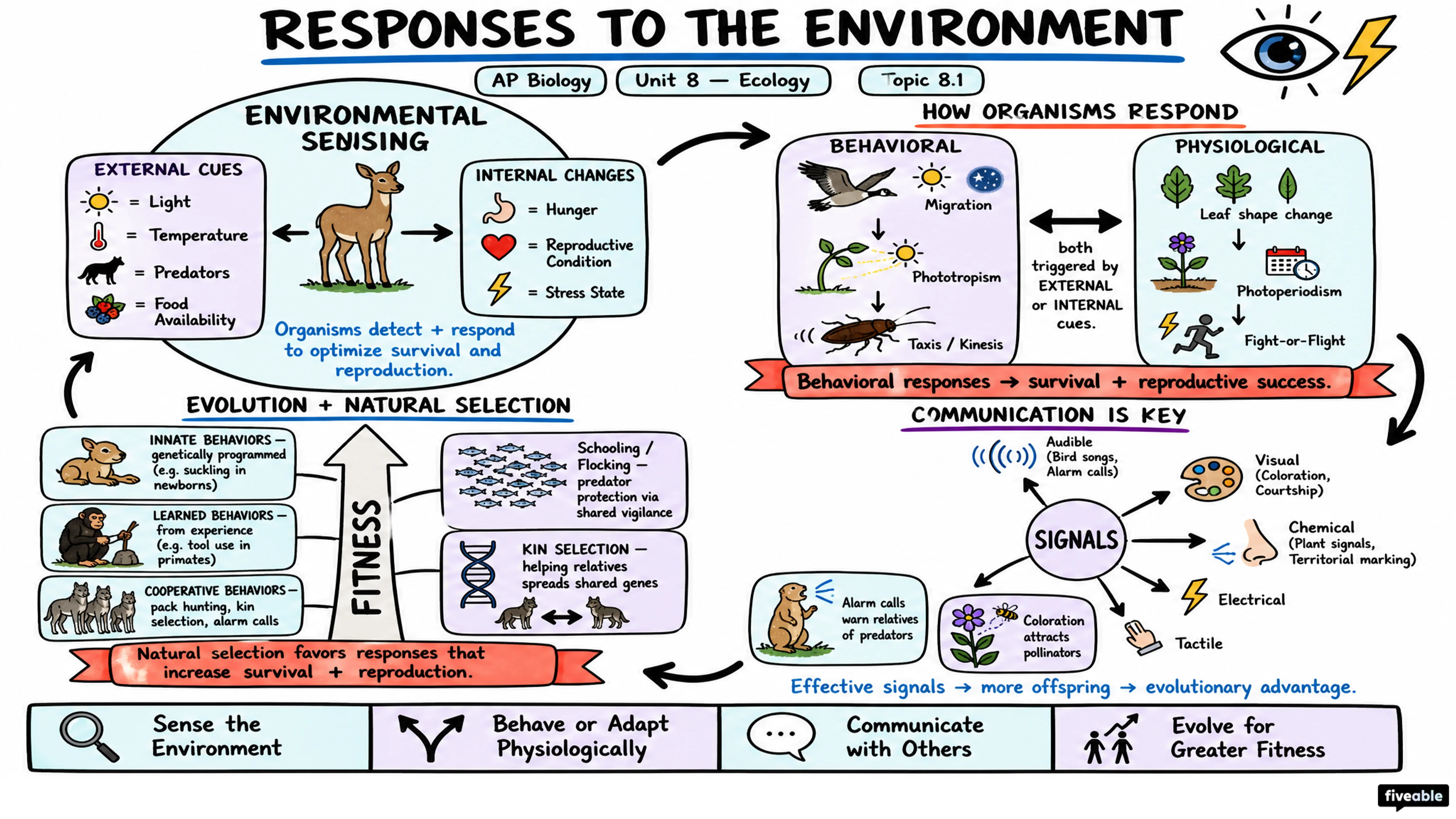 8.1 Responses to the Environment - AP Biology - Unit 8 visual cheatsheet