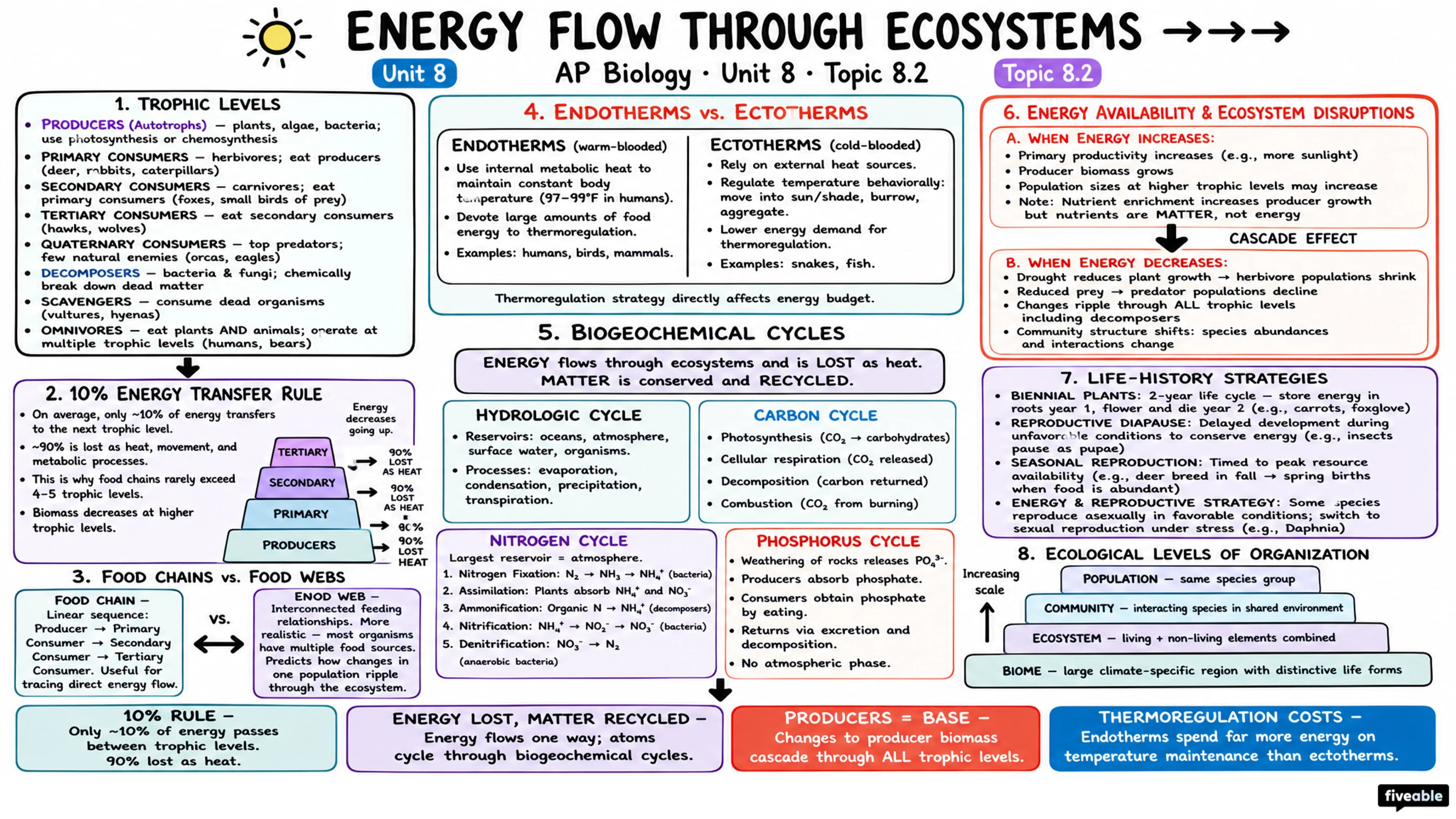8.2 Energy Flow Through Ecosystems - AP Biology - Unit 8 visual cheatsheet