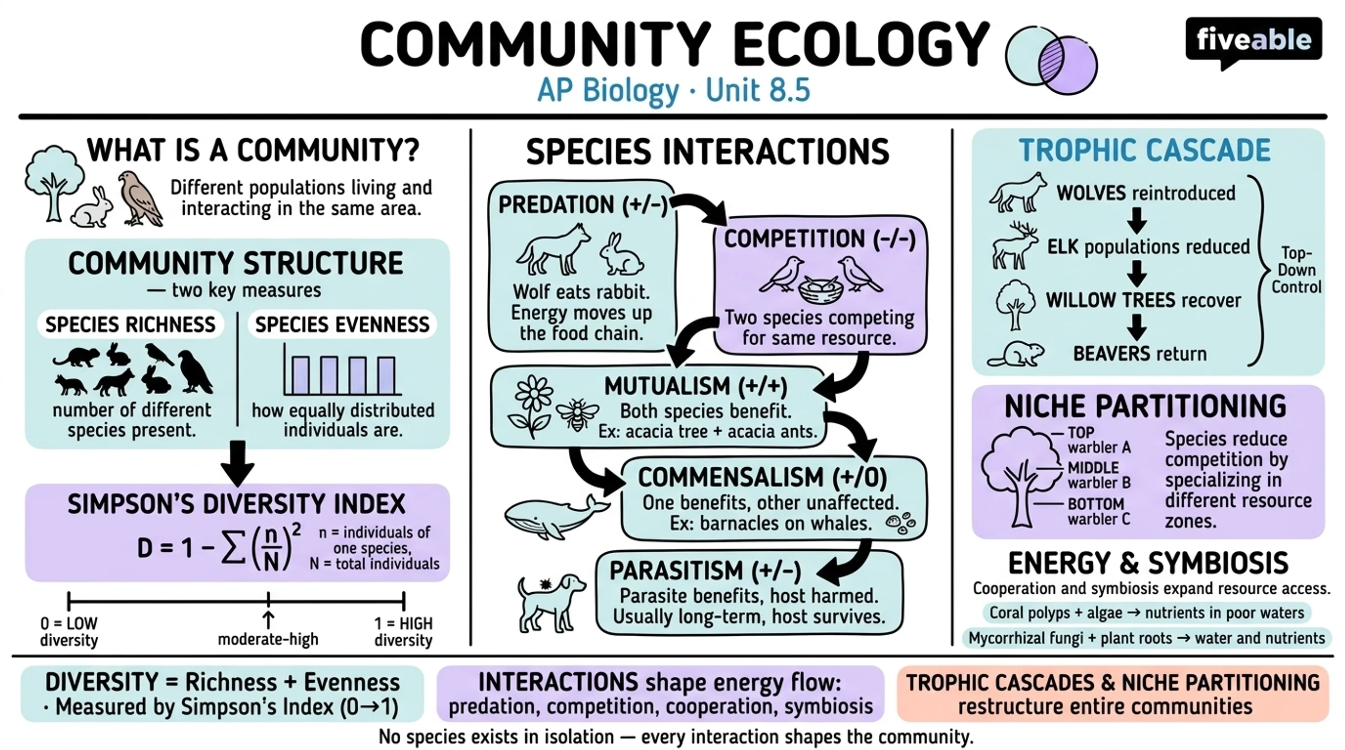 8.5 Community Ecology - AP Biology - Unit 8 visual cheatsheet