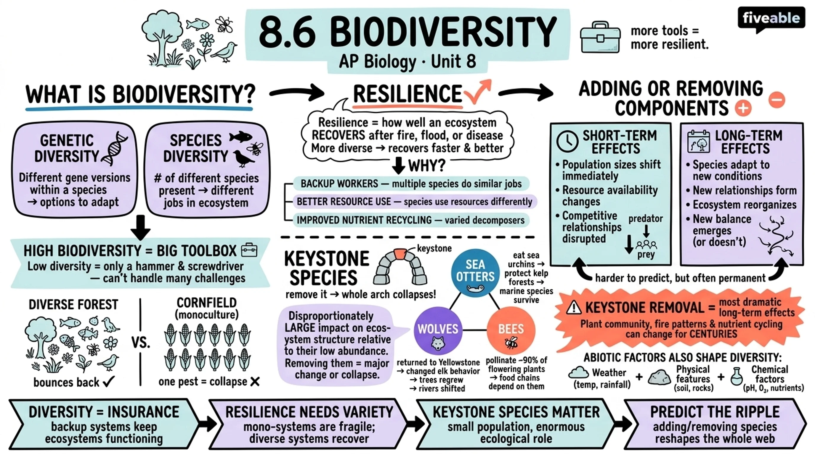 8.6 Biodiversity - AP Biology - Unit 8 visual cheatsheet