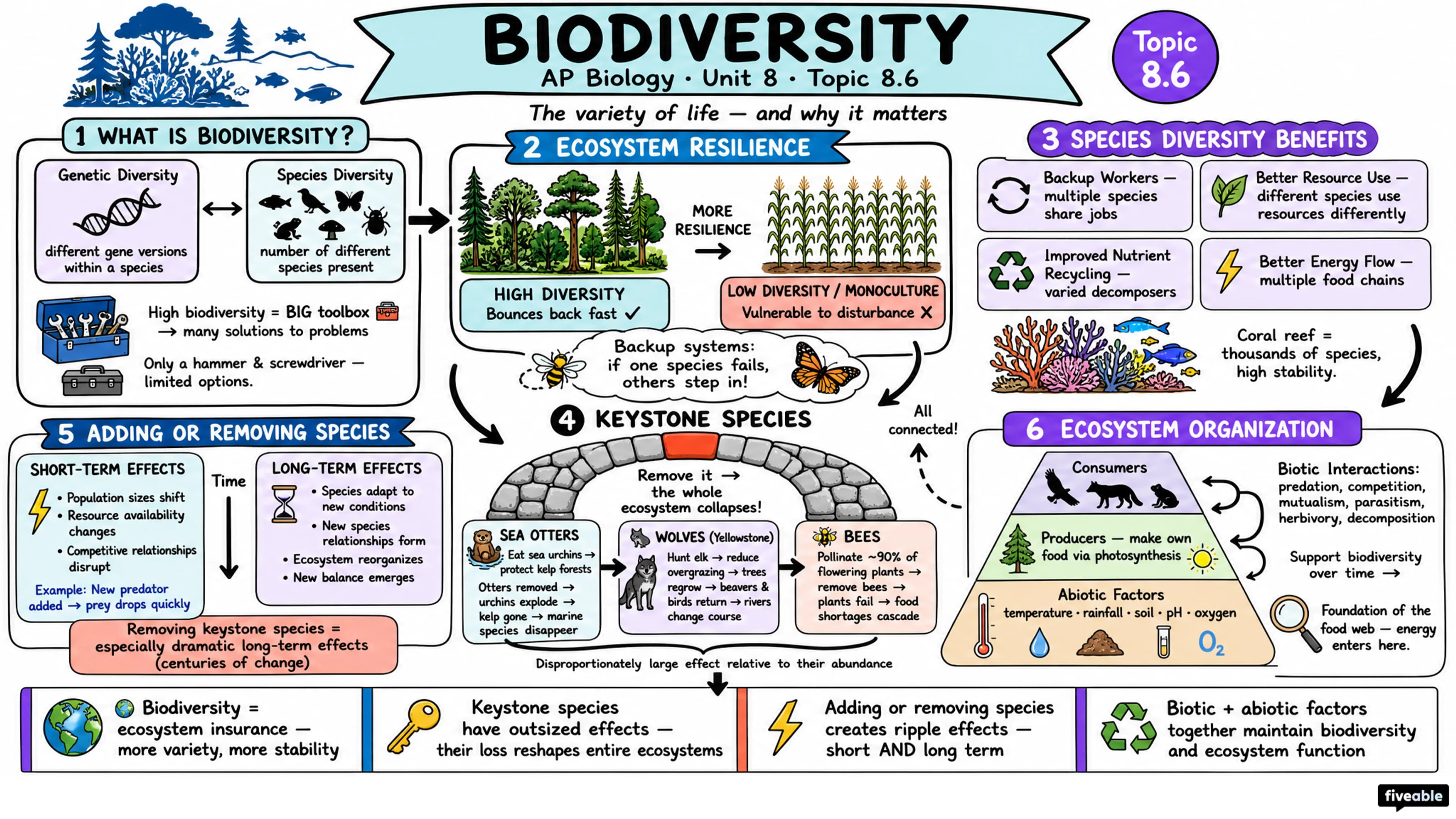 8.6 Biodiversity - AP Biology - Unit 8 visual cheatsheet