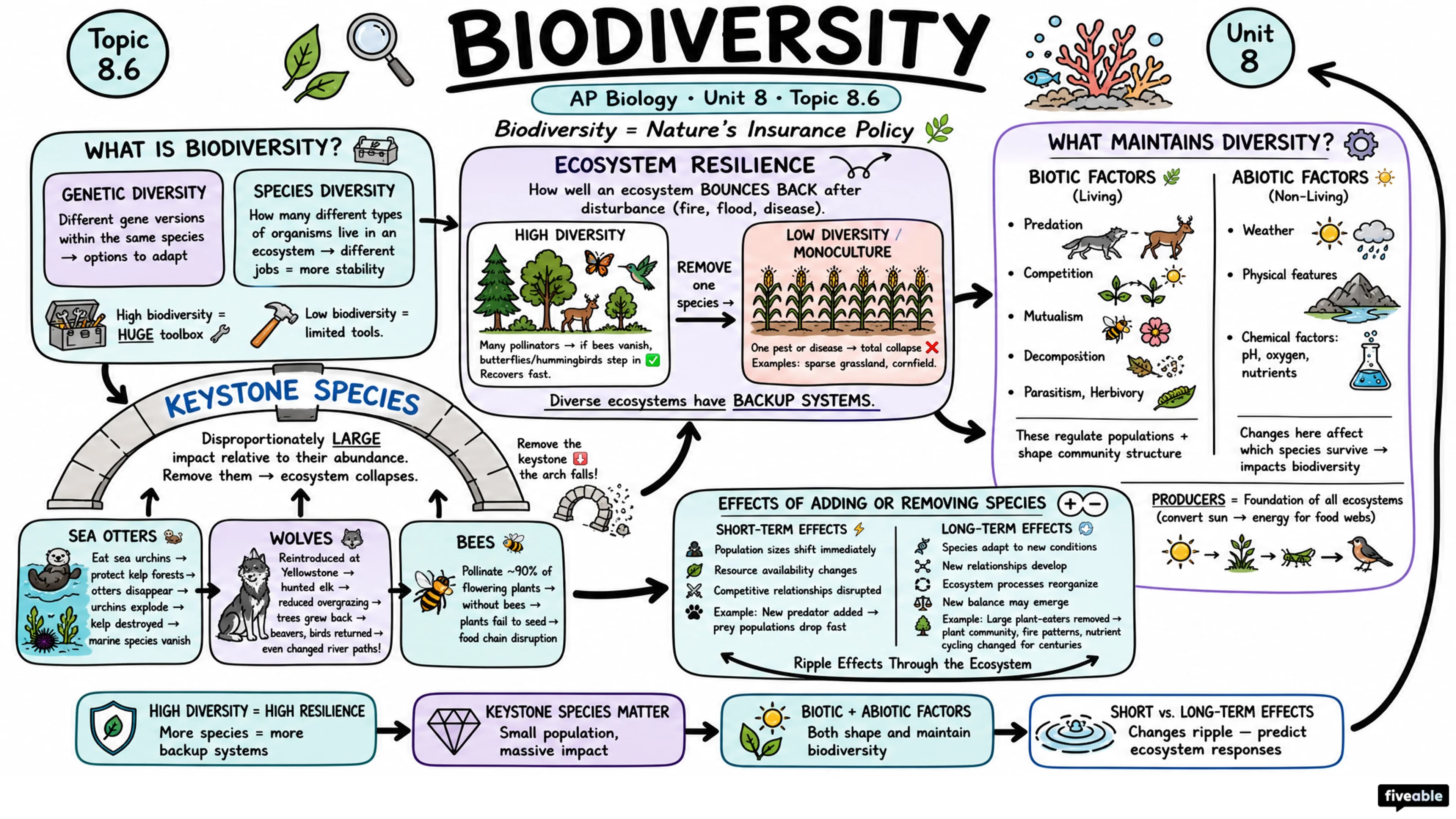 8.6 Biodiversity - AP Biology - Unit 8 visual cheatsheet