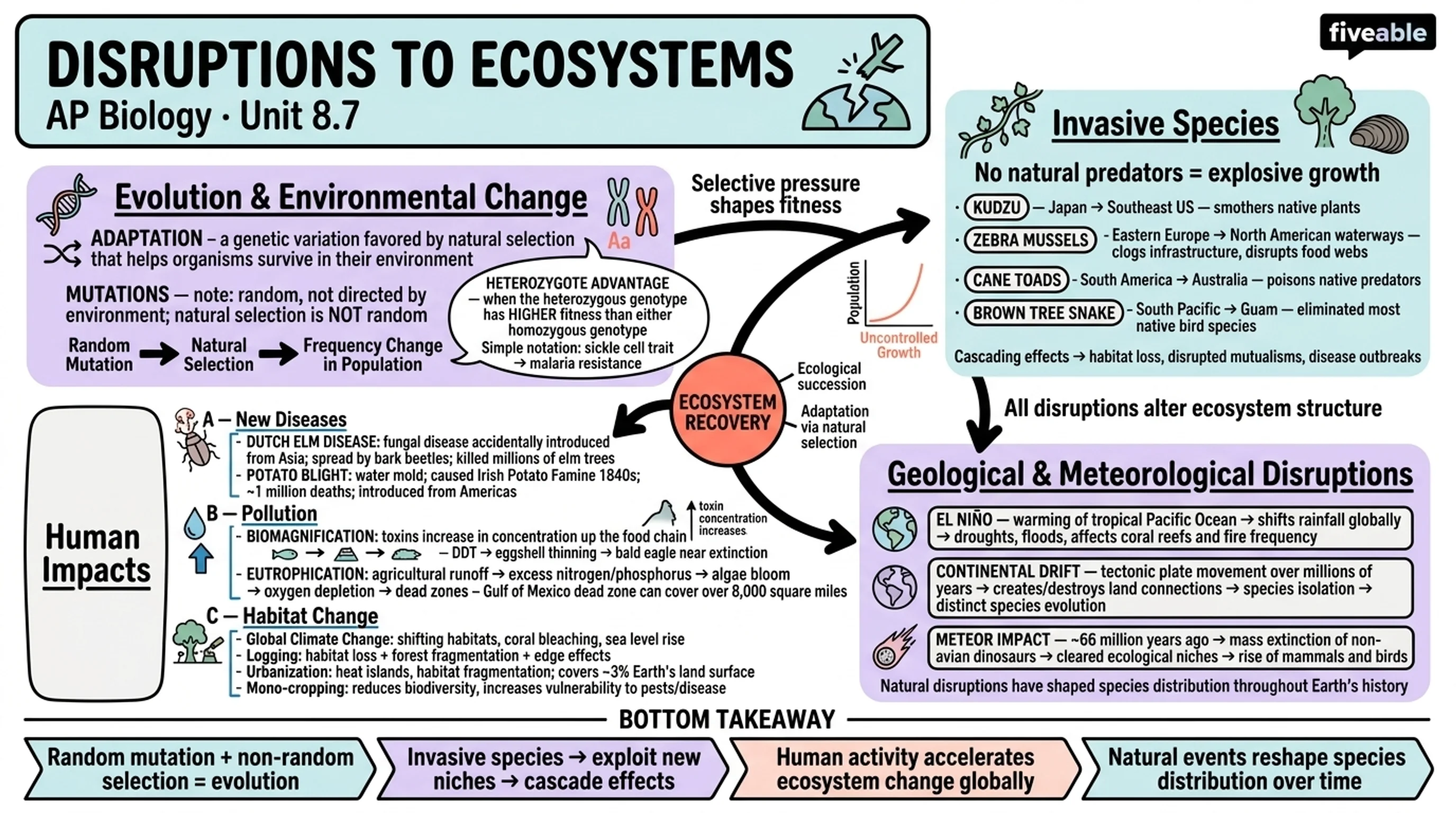 8.7 Disruptions to Ecosystems - AP Biology - Unit 8 visual cheatsheet