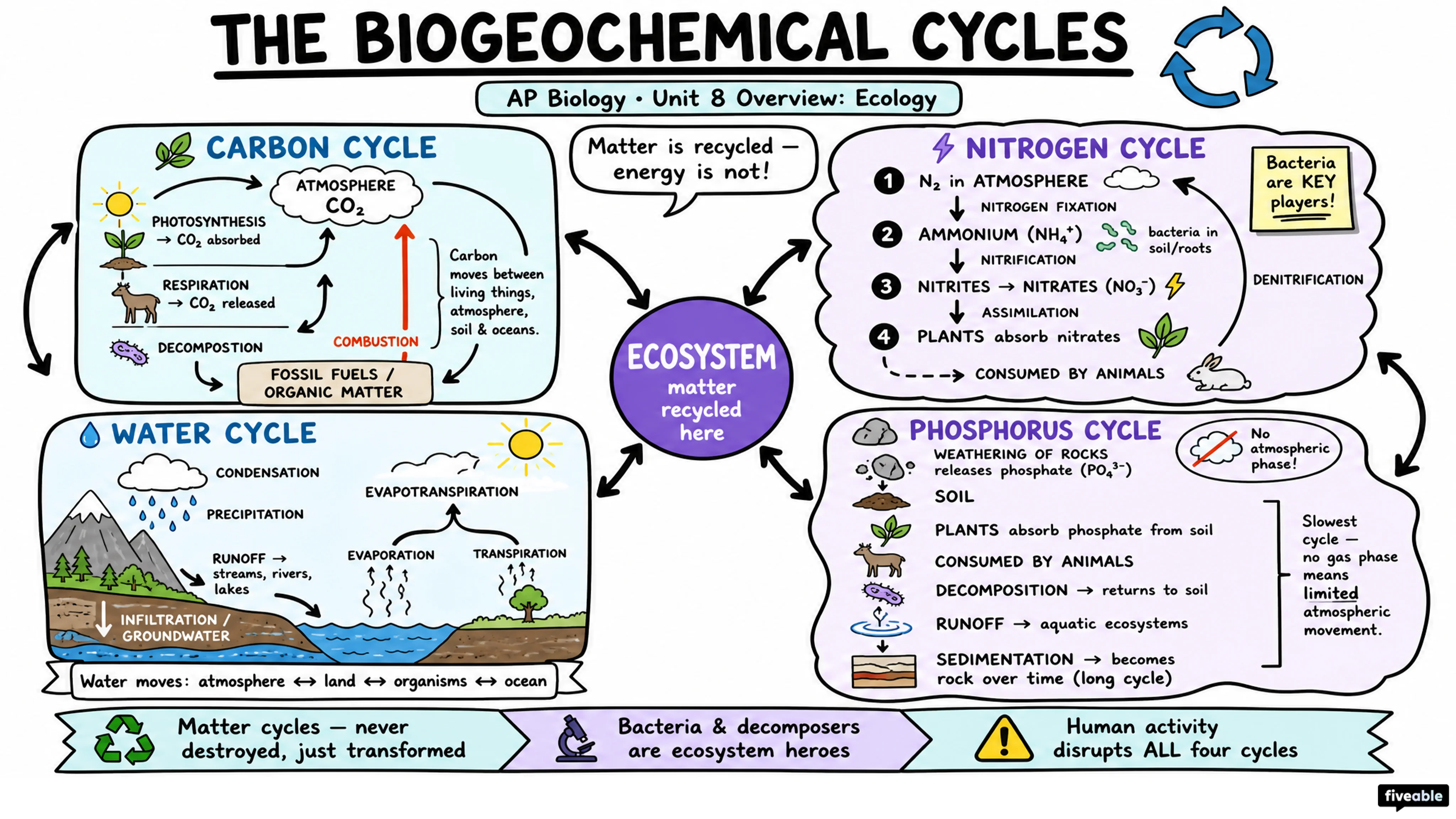 Unit 8 Overview: Ecology - AP Biology - Unit 8 visual cheatsheet