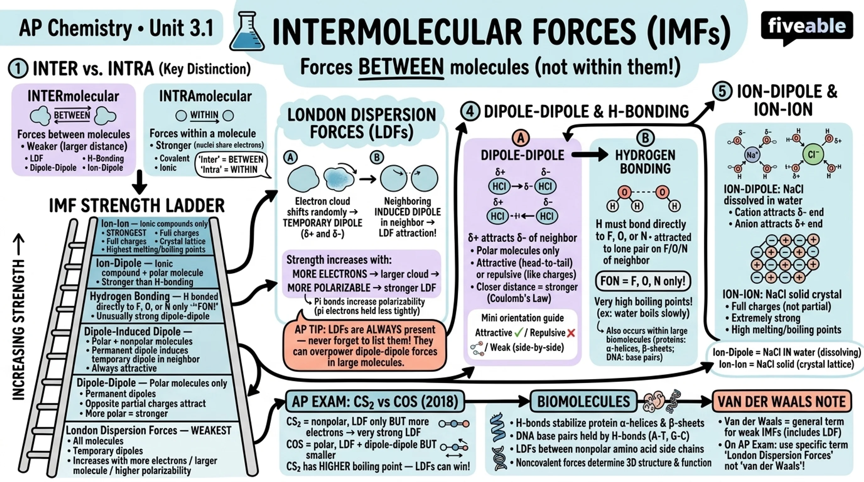 3.1 Intermolecular and Interparticle Forces - AP Chemistry - Unit 3 visual cheatsheet