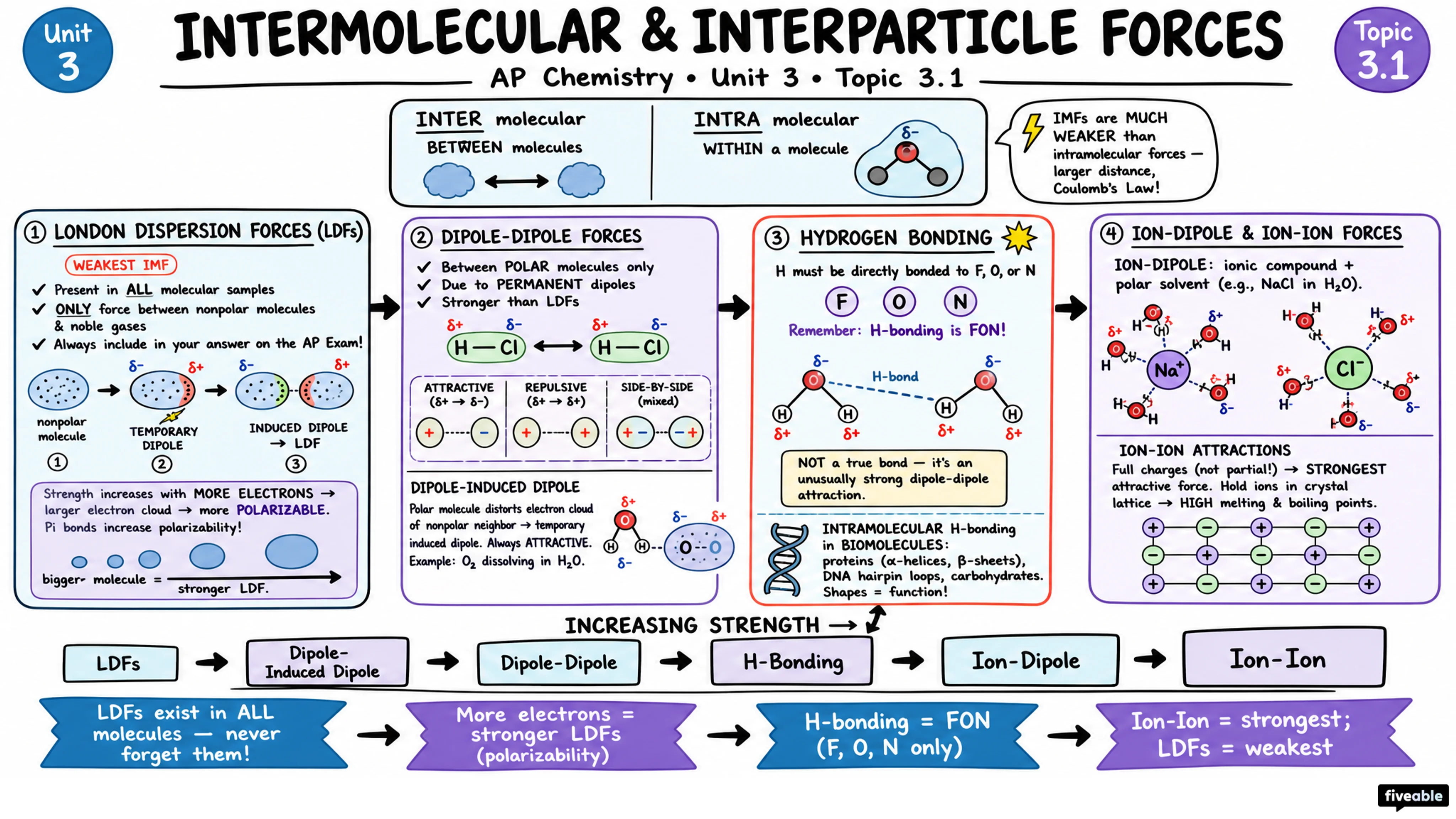 3.1 Intermolecular and Interparticle Forces - AP Chemistry - Unit 3 visual cheatsheet