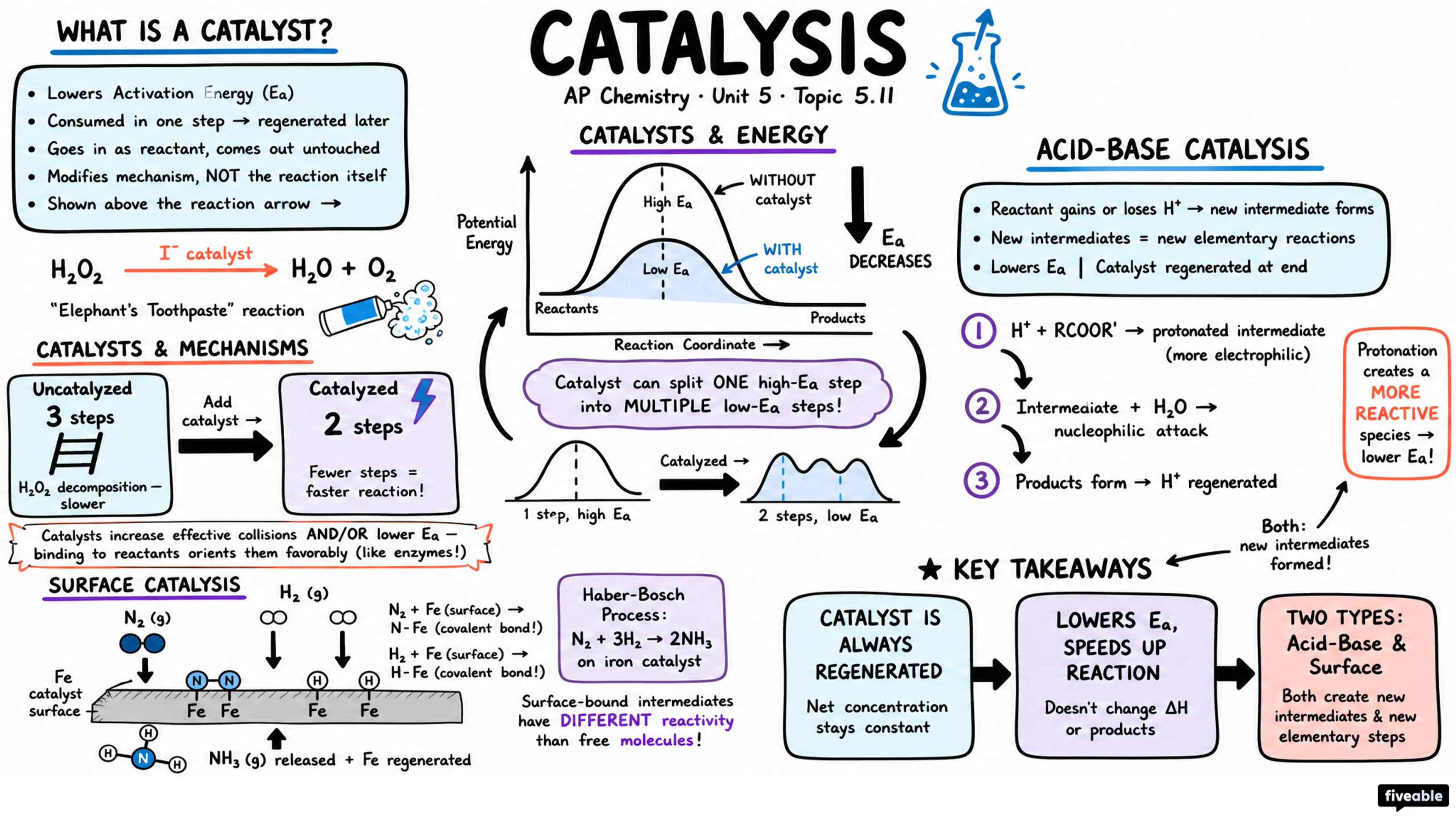 5.11 Catalysis - AP Chemistry - Unit 5 visual cheatsheet