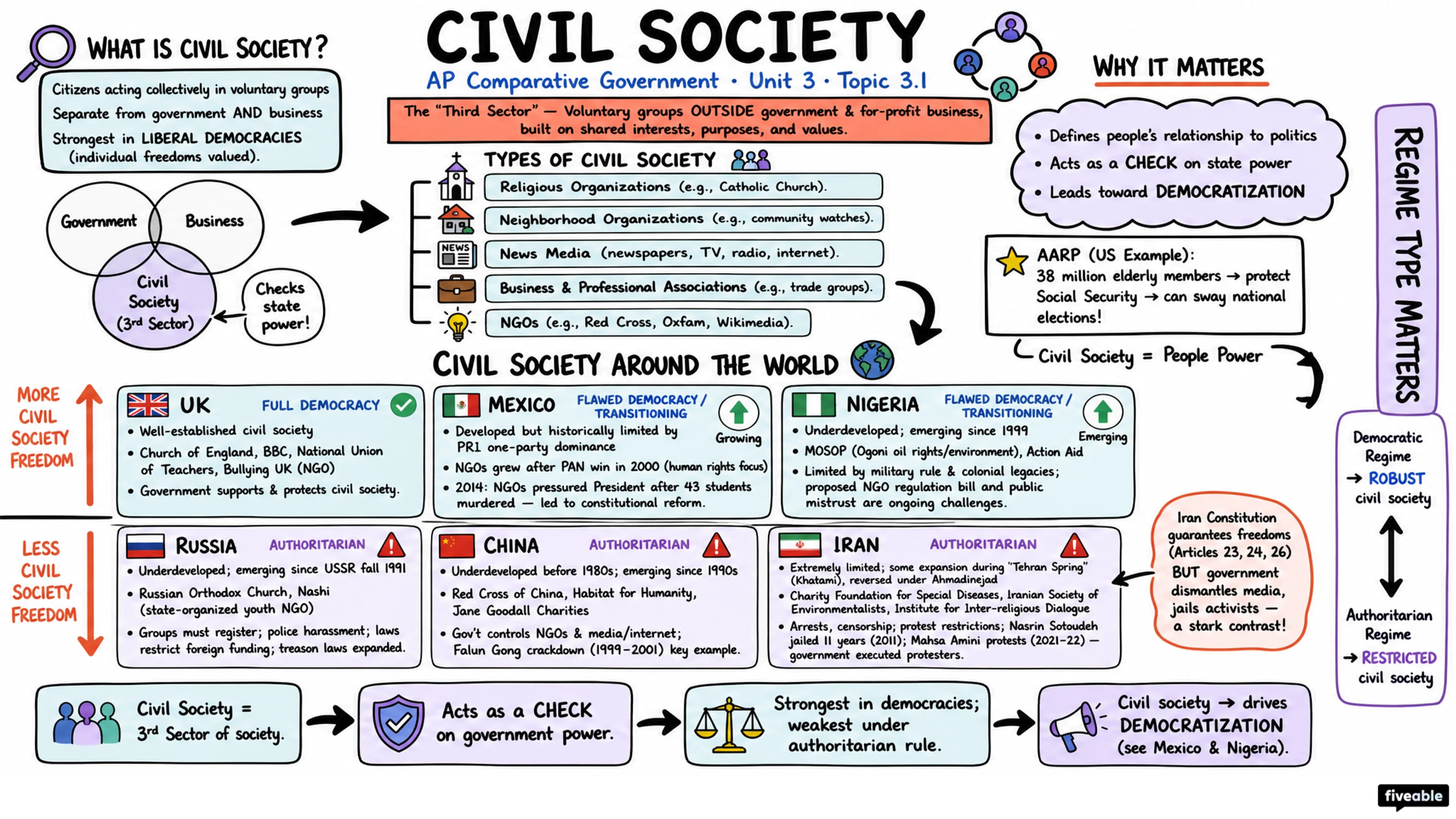 3.1 Civil Society - AP Comparative Government - Unit 3 visual cheatsheet