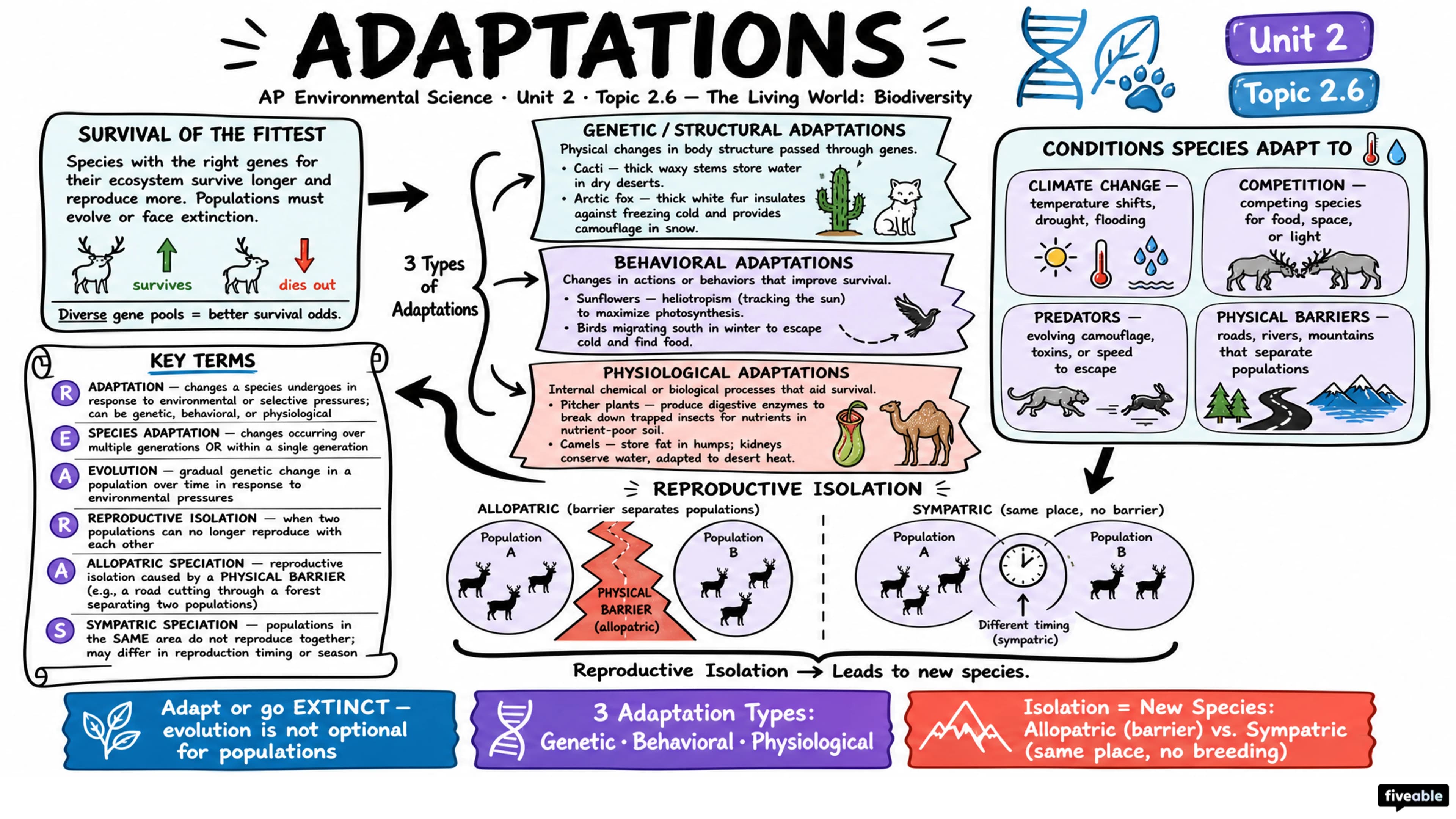 2.6 Adaptations - AP Environmental Science - Unit 2 visual cheatsheet