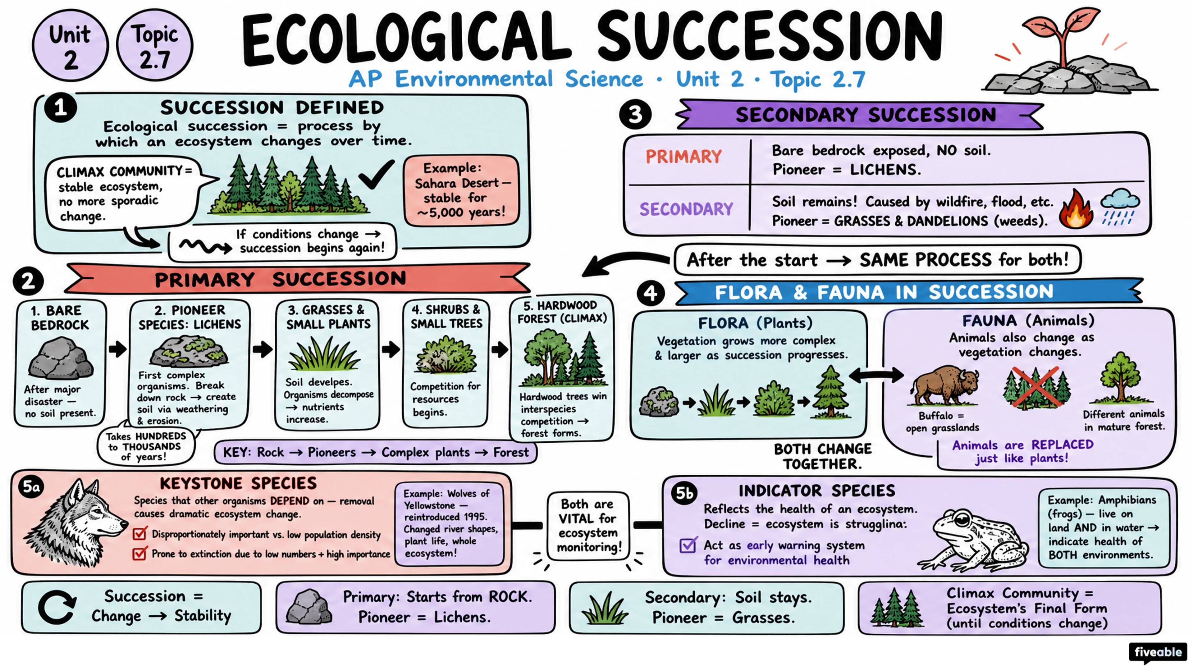 2.7 Ecological Succession - AP Environmental Science - Unit 2 visual cheatsheet
