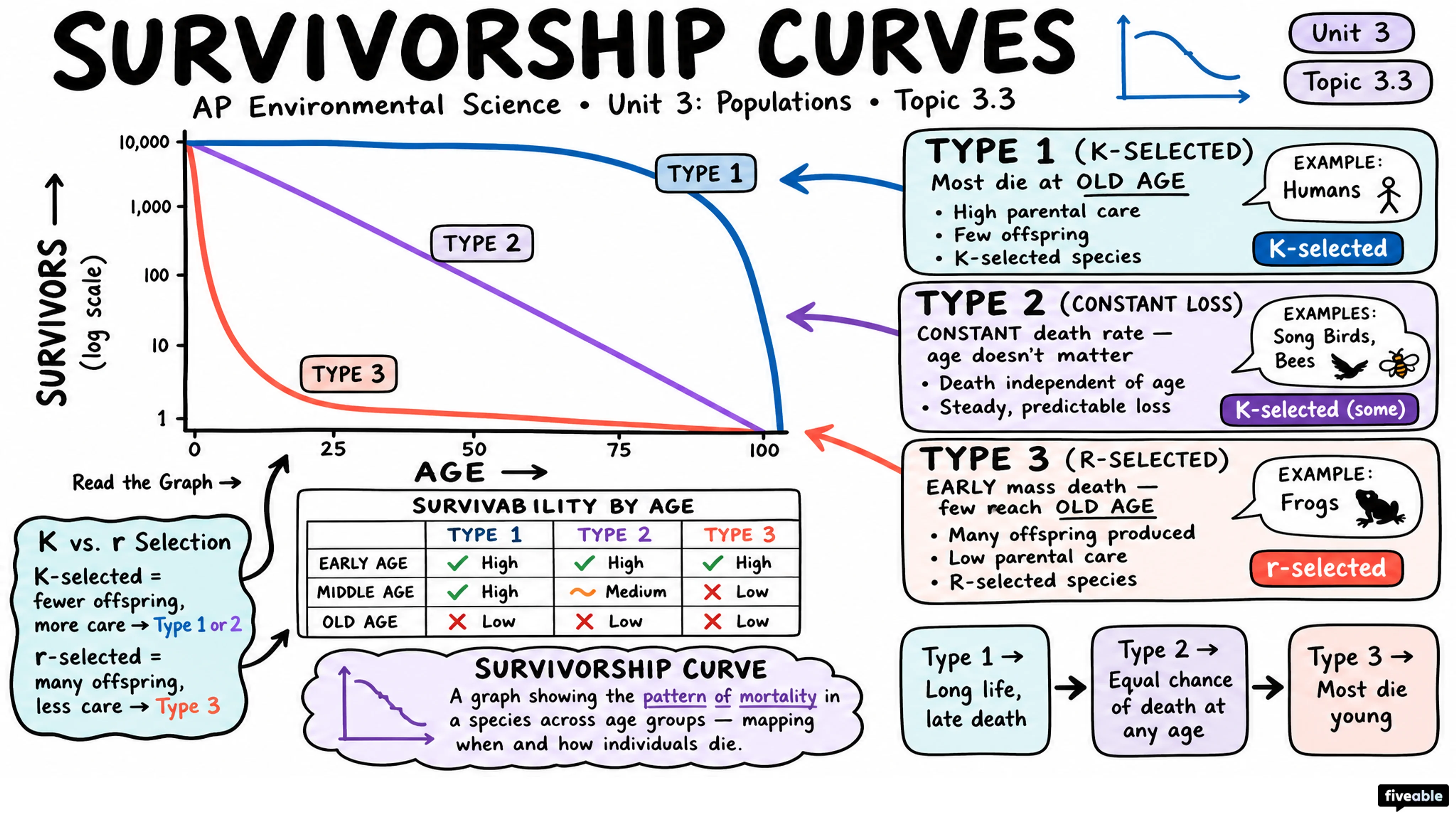 3.3 Survivorship Curves - AP Environmental Science - Unit 3 visual cheatsheet