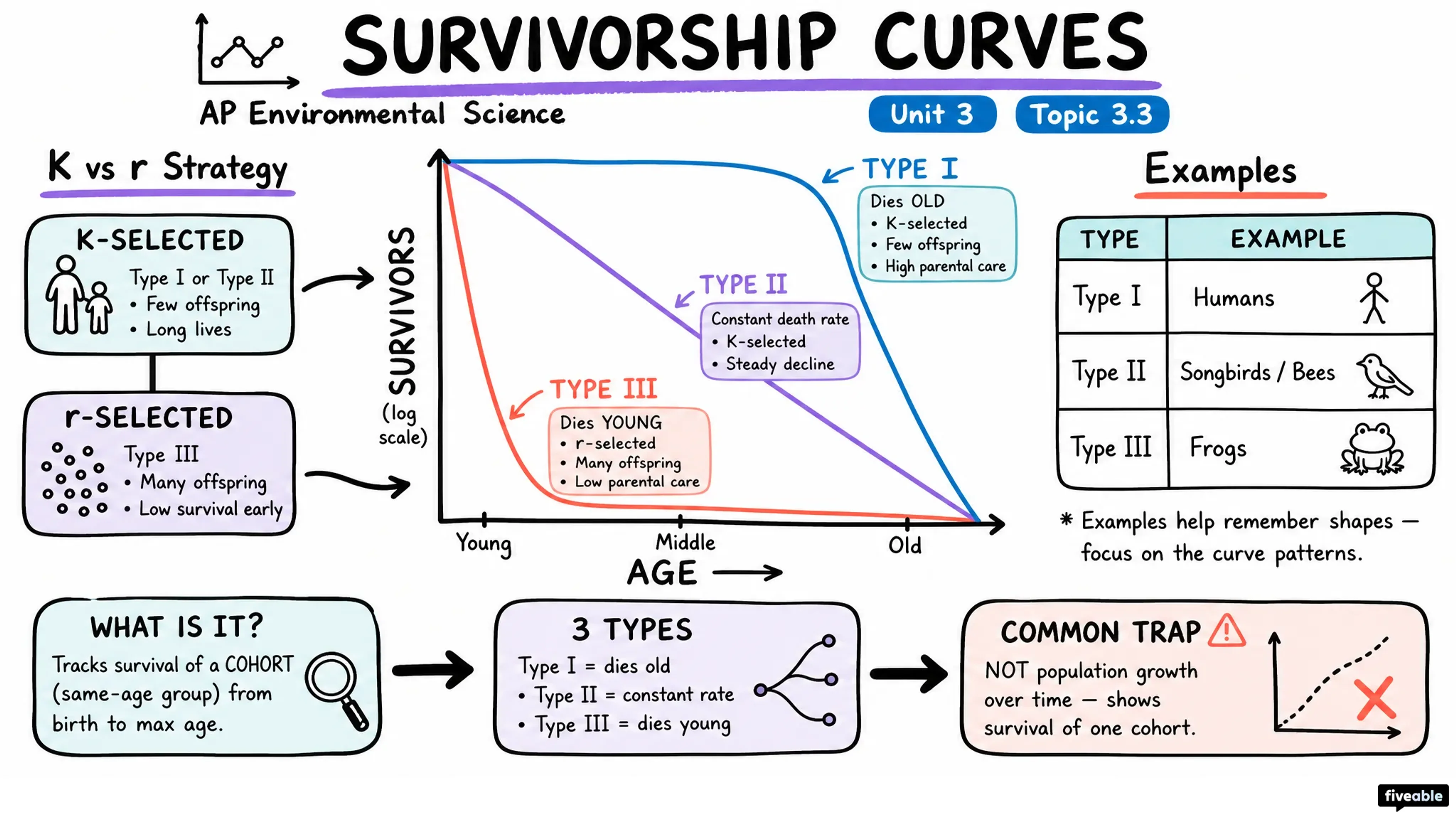 3.3 Survivorship Curves - AP Environmental Science - Unit 3 visual cheatsheet