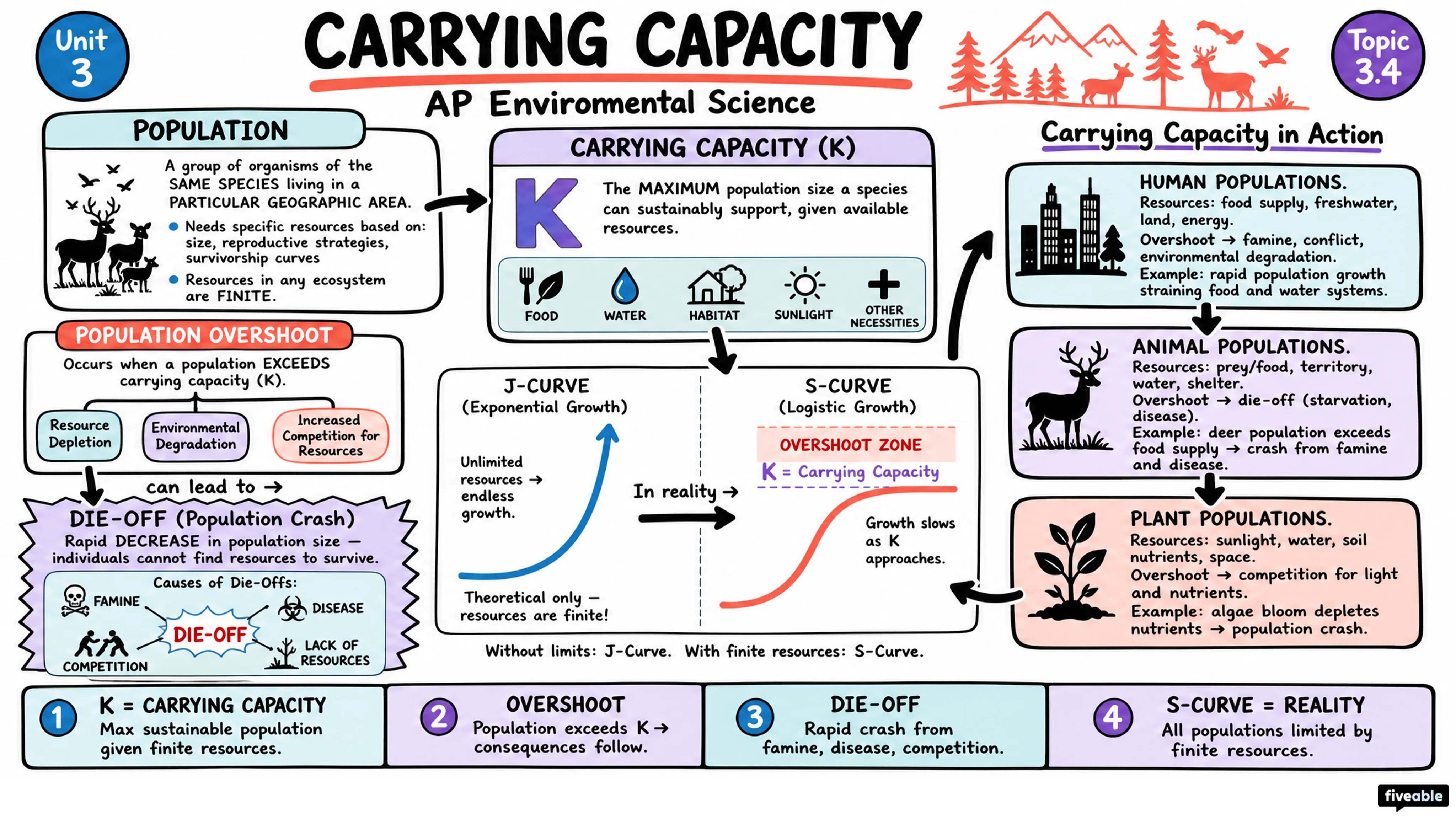 3.4 Carrying Capacity - AP Environmental Science - Unit 3 visual cheatsheet