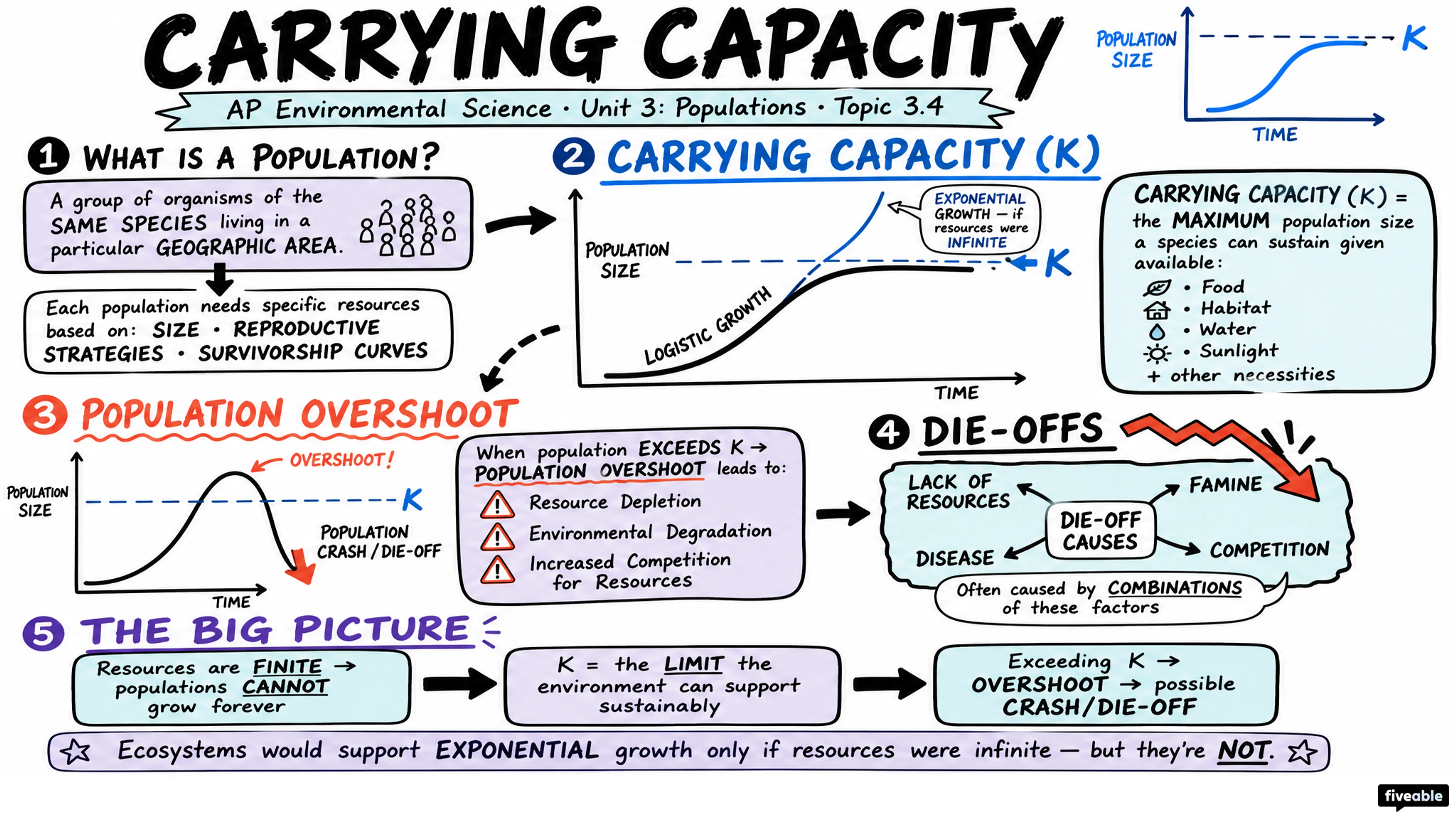 3.4 Carrying Capacity - AP Environmental Science - Unit 3 visual cheatsheet
