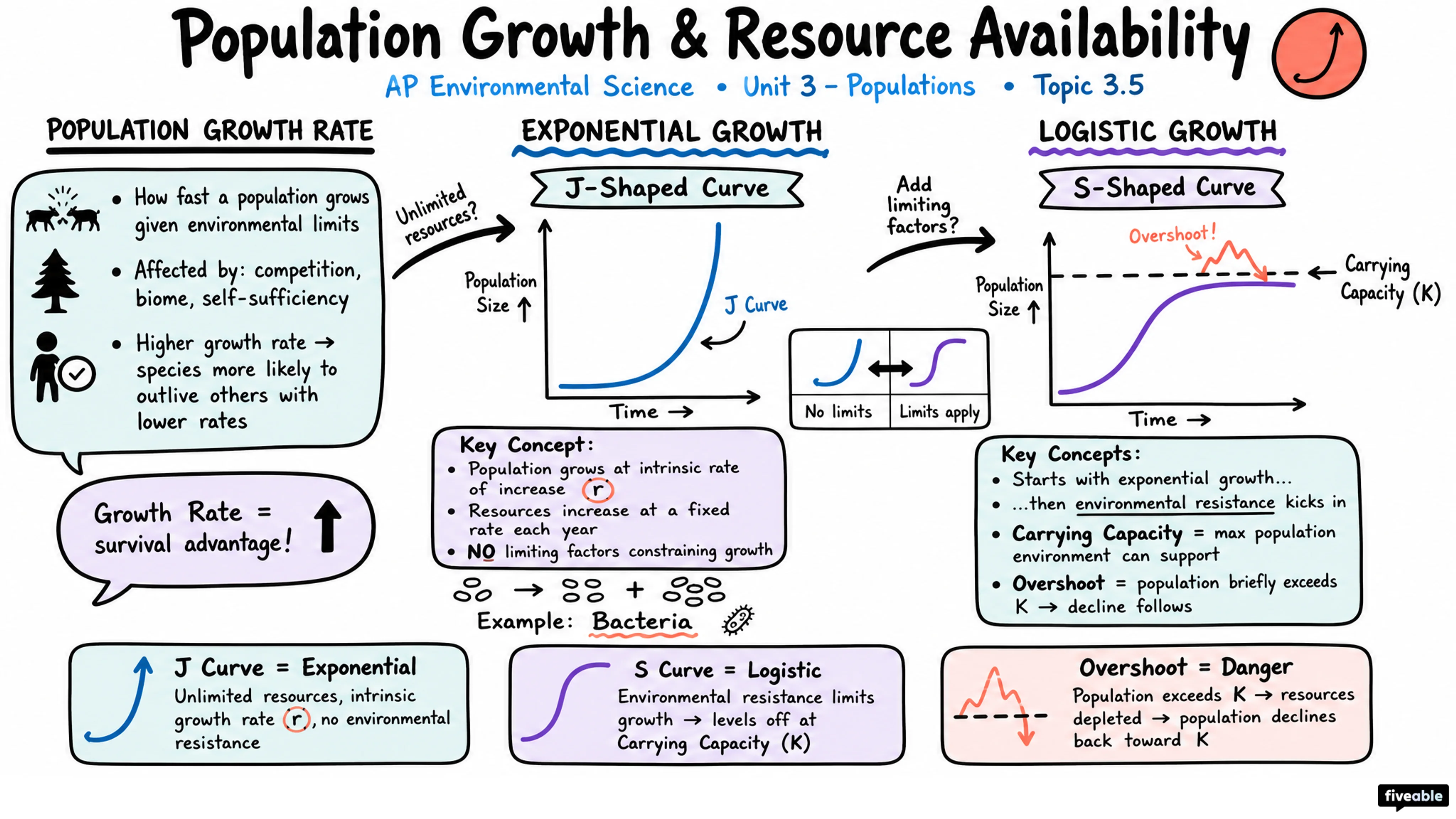 3.5 Population Growth and Resource Availability - AP Environmental Science - Unit 3 visual cheatsheet