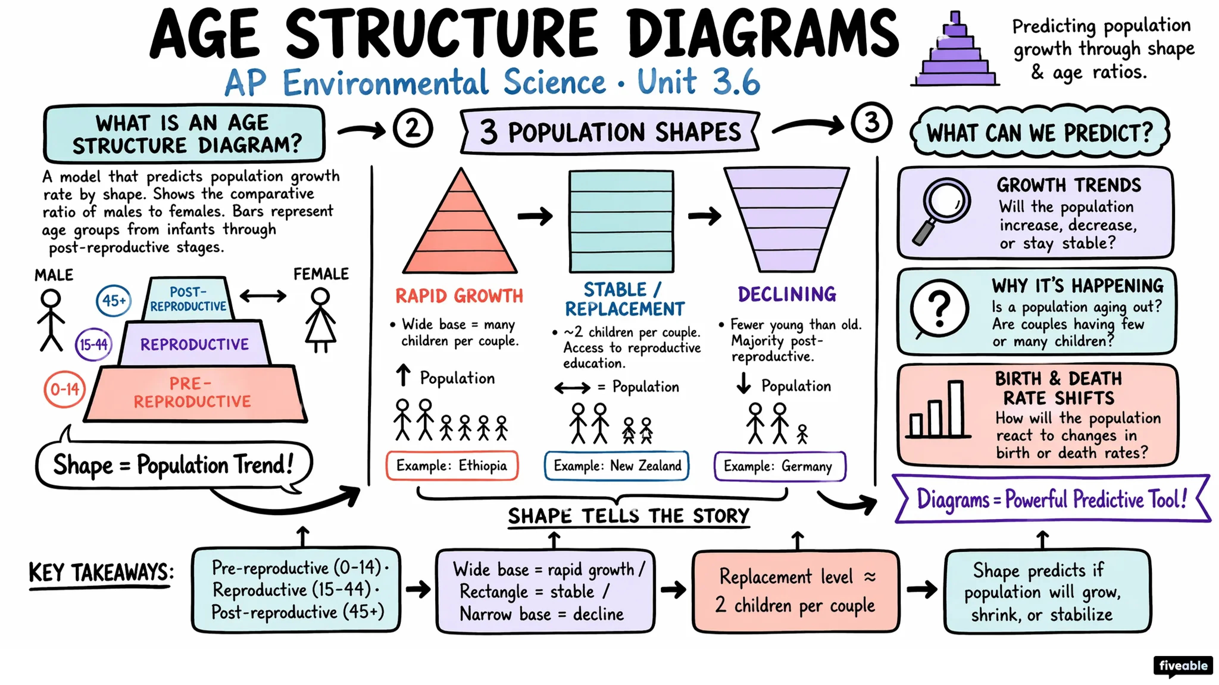 3.6 Age Structure Diagrams - AP Environmental Science - Unit 3 visual cheatsheet