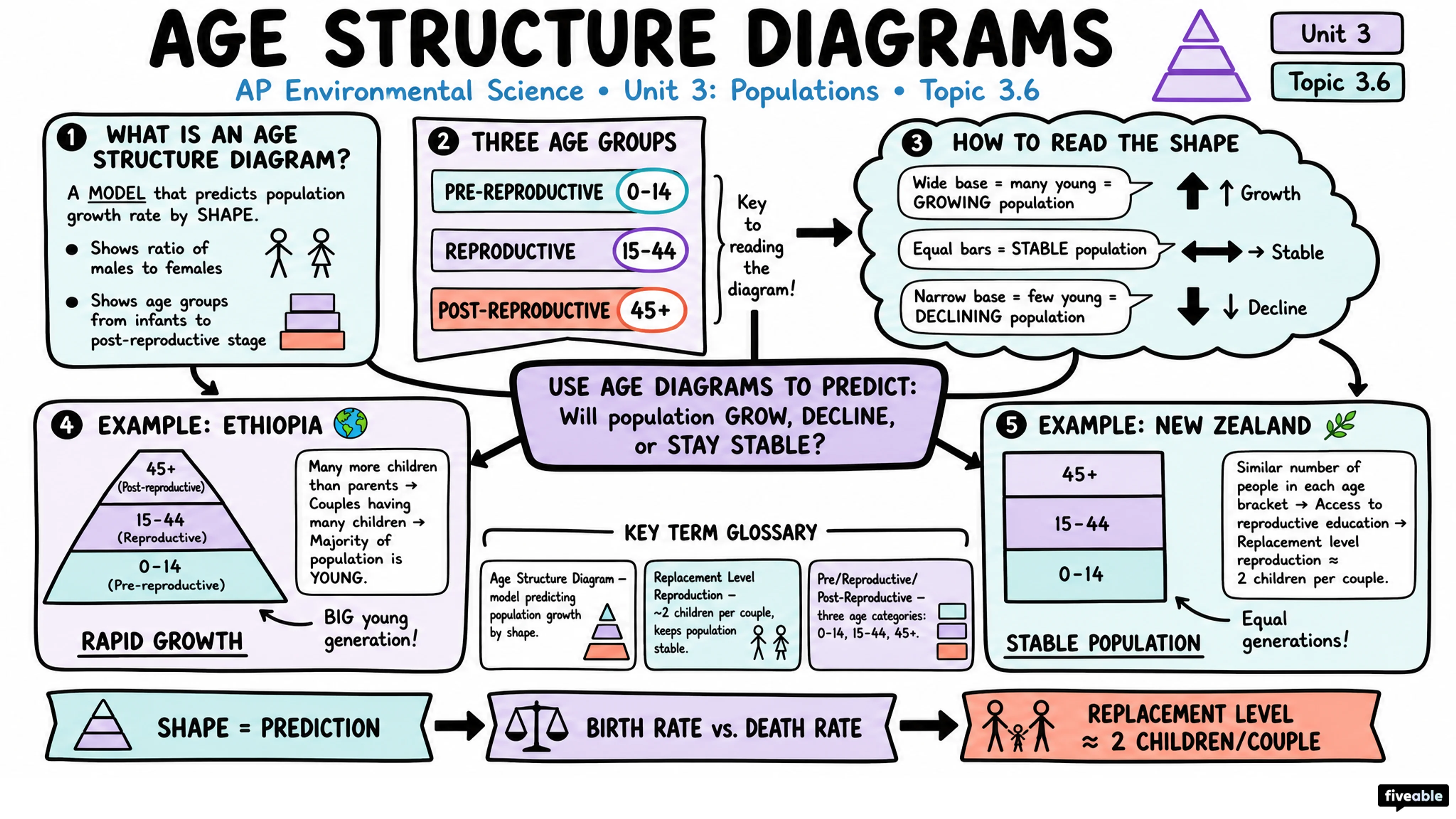 3.6 Age Structure Diagrams - AP Environmental Science - Unit 3 visual cheatsheet