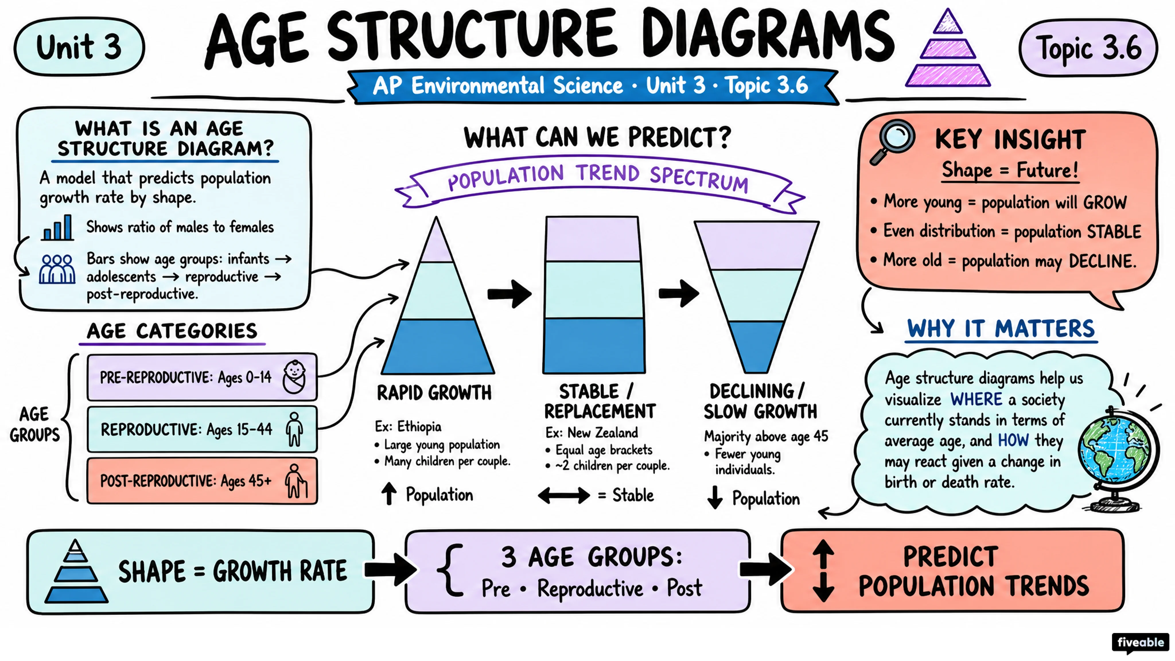 3.6 Age Structure Diagrams - AP Environmental Science - Unit 3 visual cheatsheet