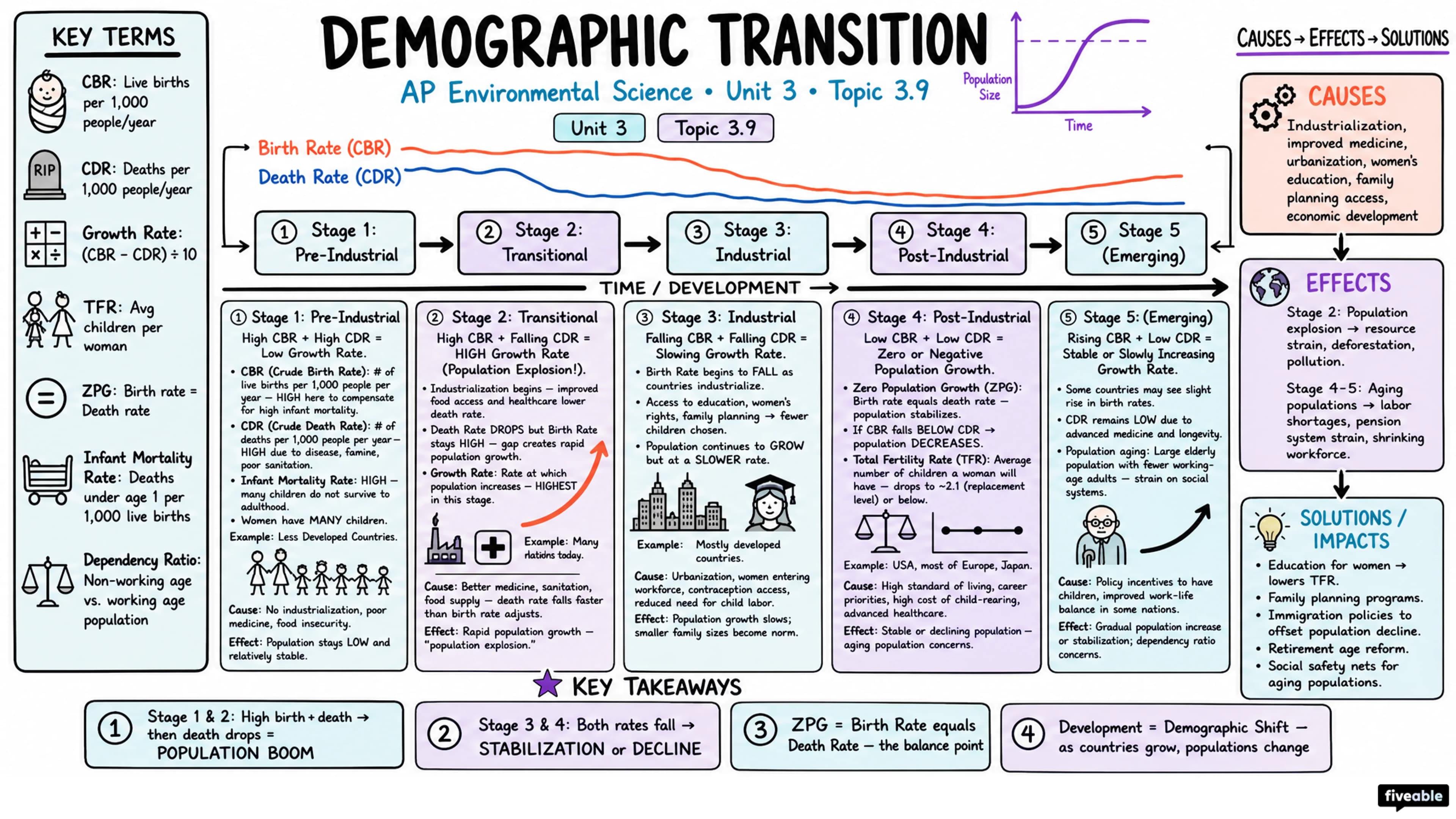 3.9 Demographic Transition - AP Environmental Science - Unit 3 visual cheatsheet