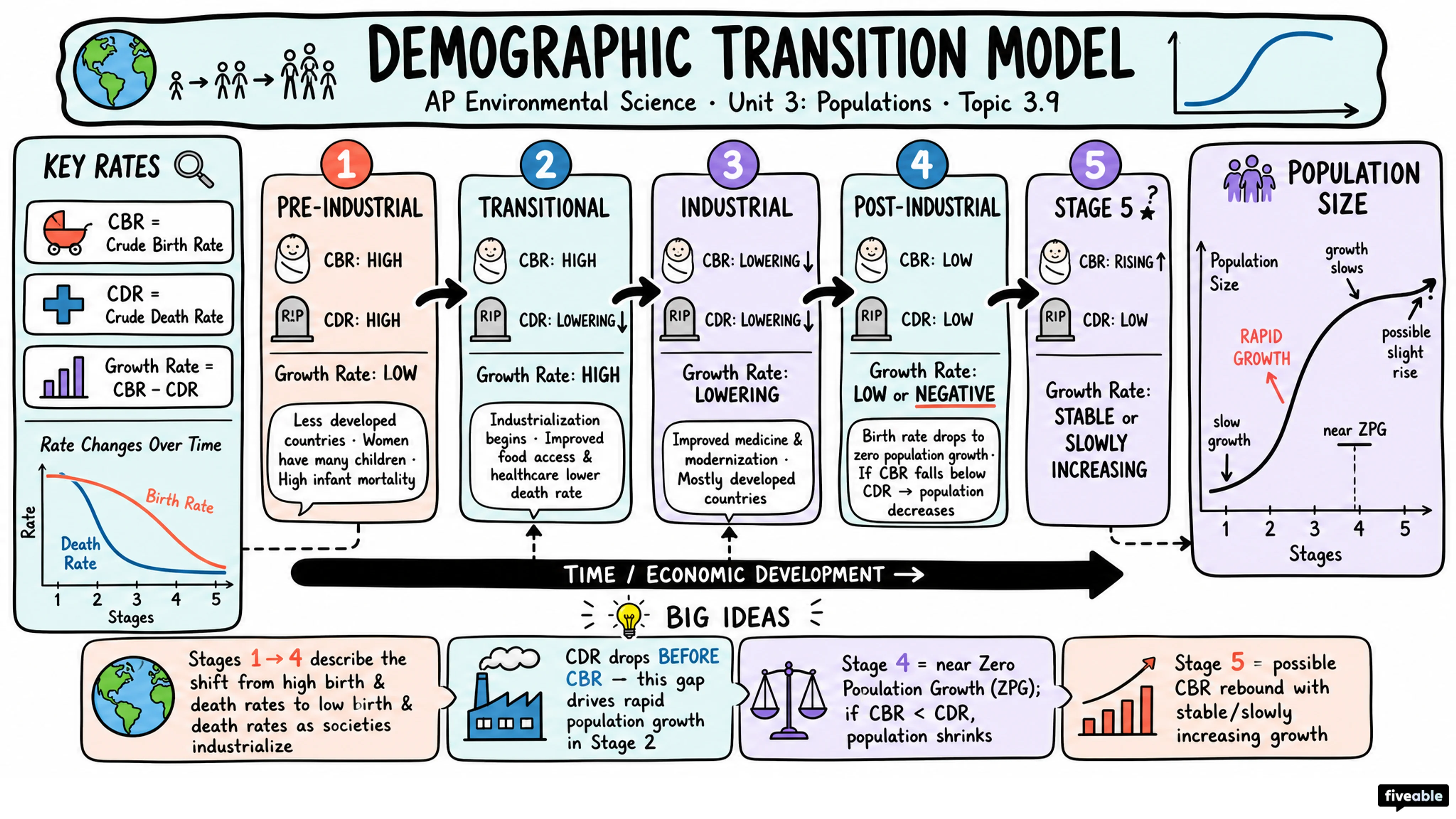 3.9 Demographic Transition - AP Environmental Science - Unit 3 visual cheatsheet