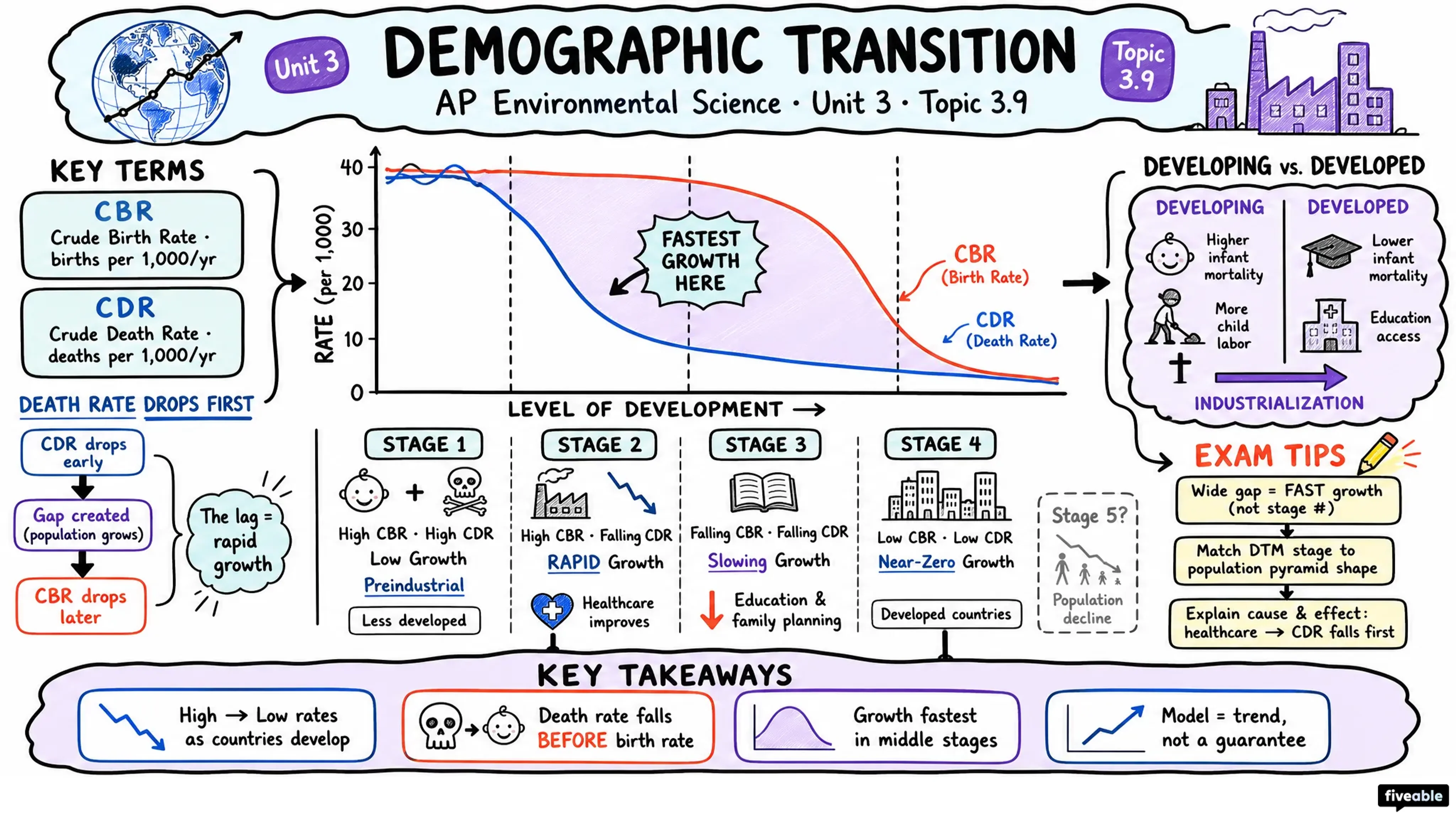 3.9 Demographic Transition - AP Environmental Science - Unit 3 visual cheatsheet