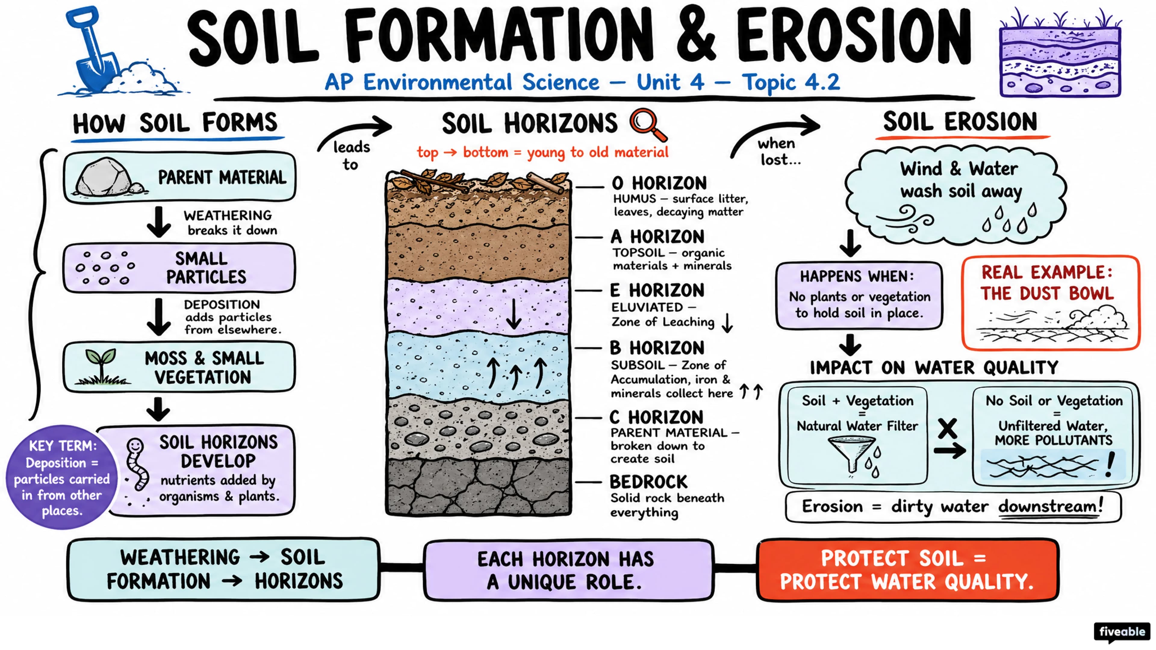 4.2 Soil Formation and Erosion - AP Environmental Science - Unit 4 visual cheatsheet