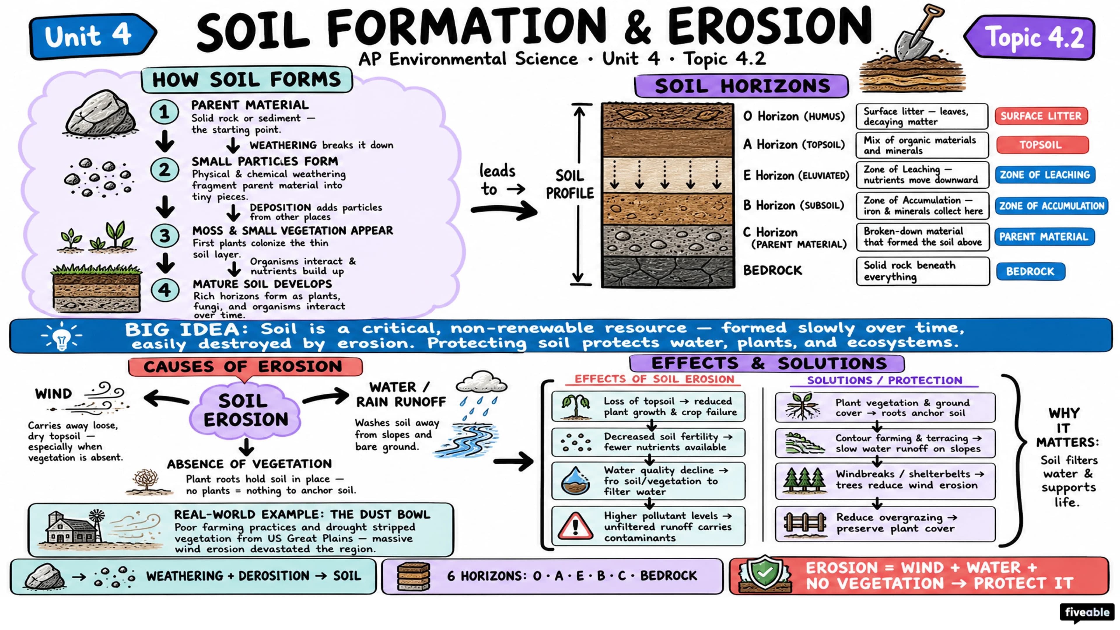 4.2 Soil Formation and Erosion - AP Environmental Science - Unit 4 visual cheatsheet