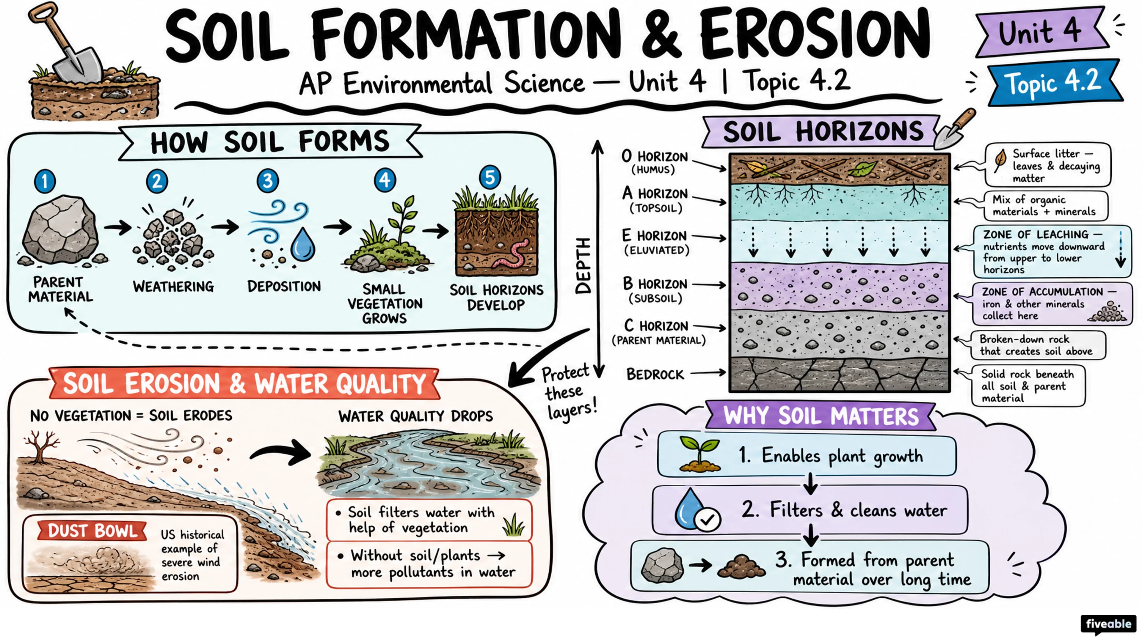 4.2 Soil Formation and Erosion - AP Environmental Science - Unit 4 visual cheatsheet