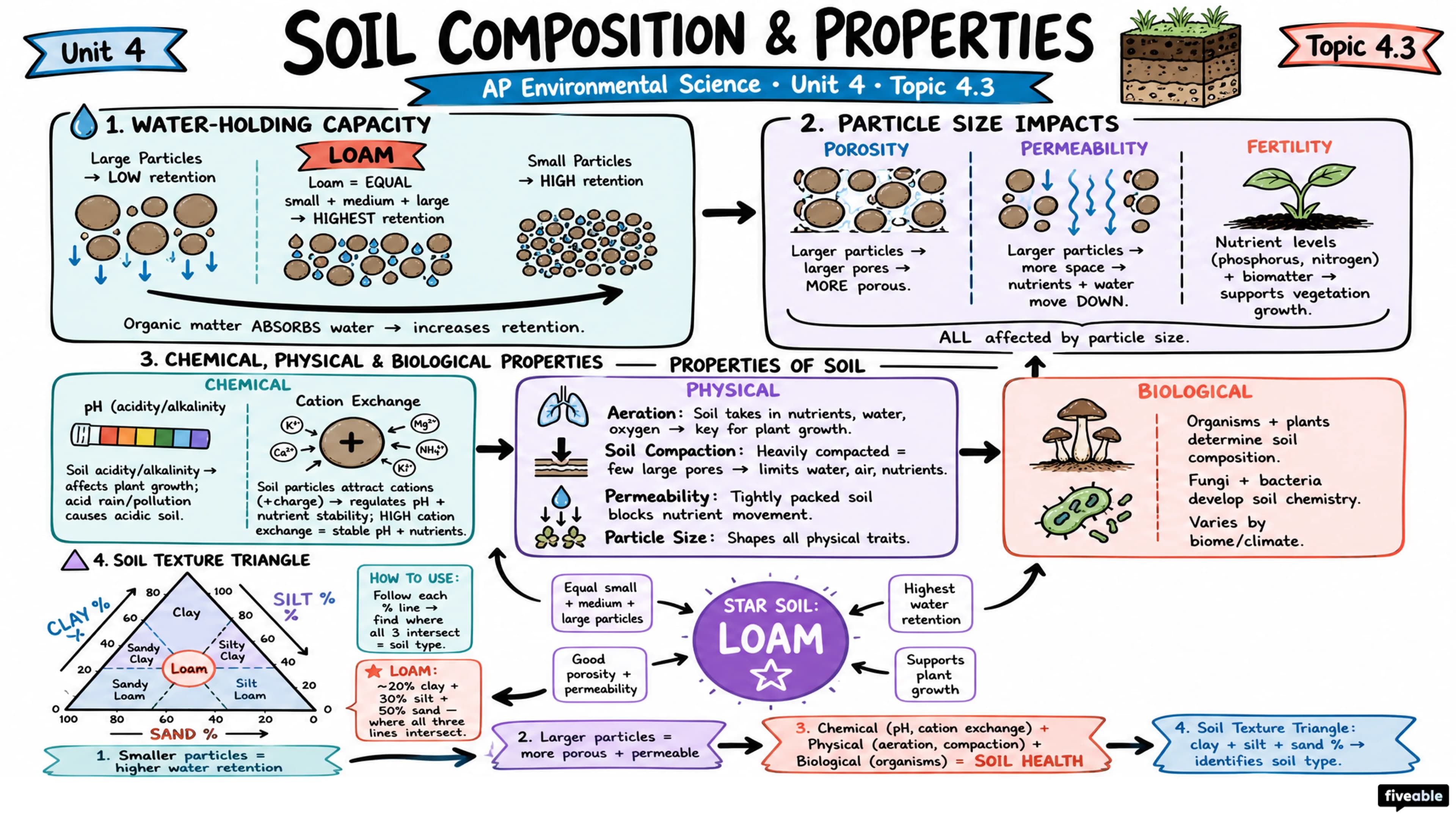 4.3 Soil Composition and Properties - AP Environmental Science - Unit 4 visual cheatsheet