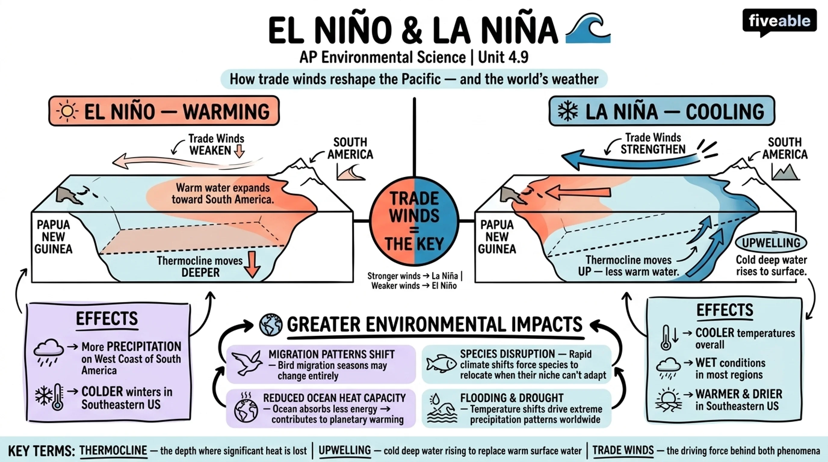 4.9 El Niño and La Niña - AP Environmental Science - Unit 4 visual cheatsheet