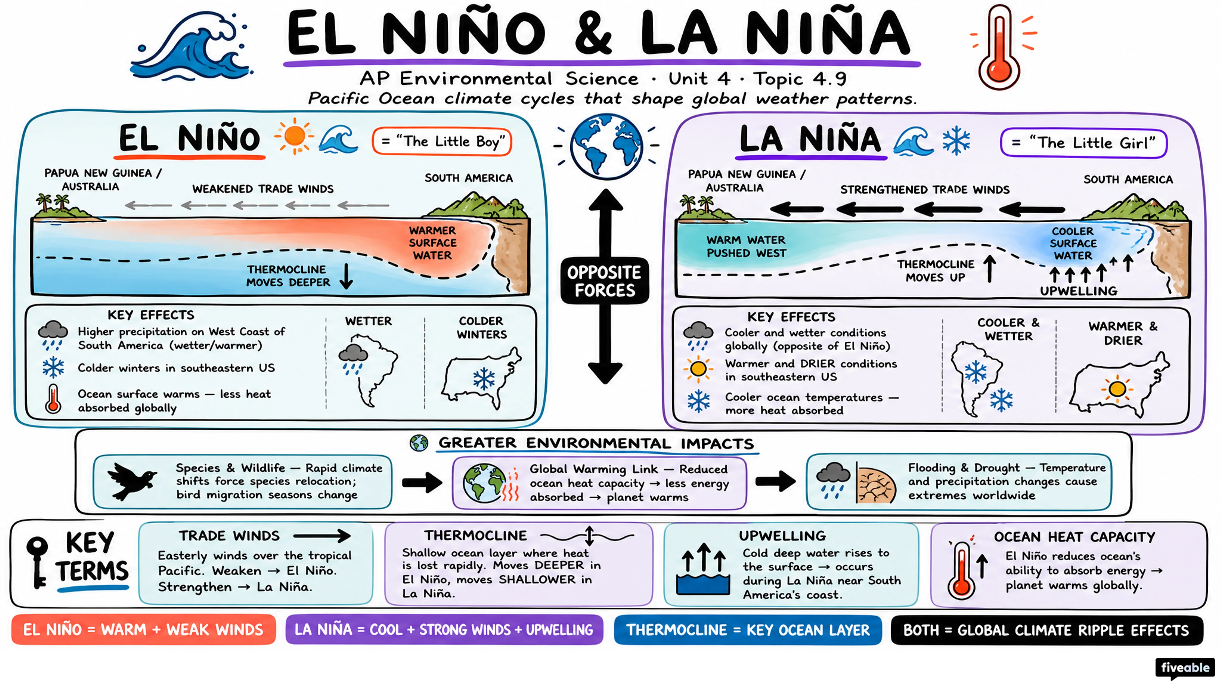 4.9 El Niño and La Niña - AP Environmental Science - Unit 4 visual cheatsheet