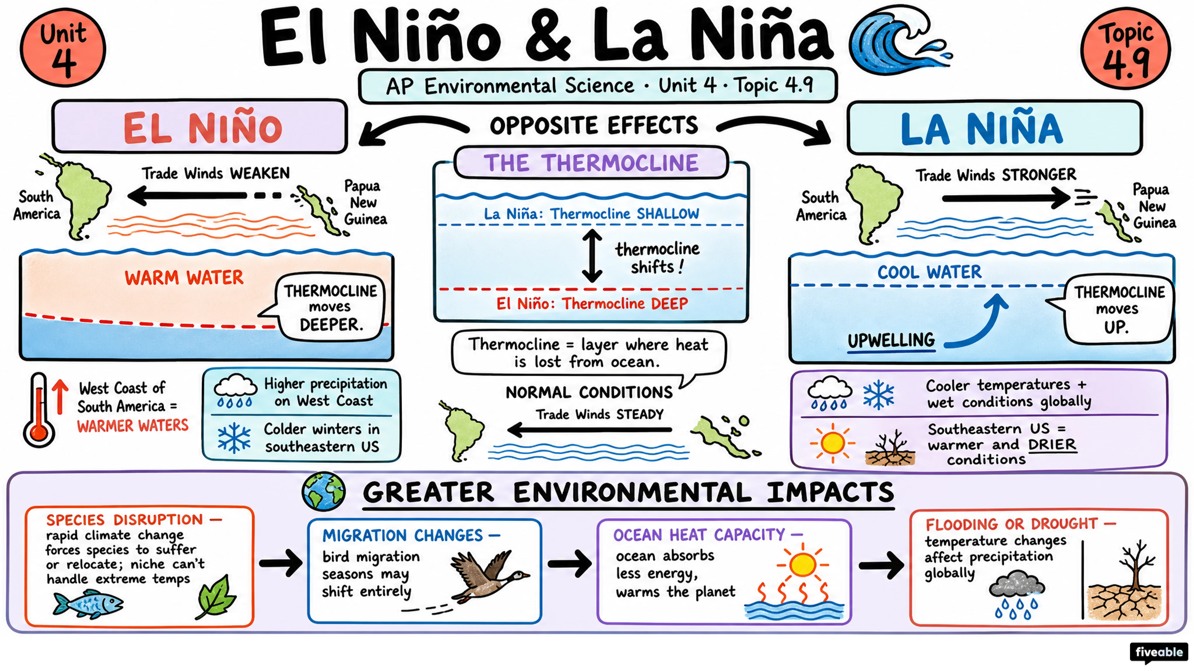 4.9 El Niño and La Niña - AP Environmental Science - Unit 4 visual cheatsheet