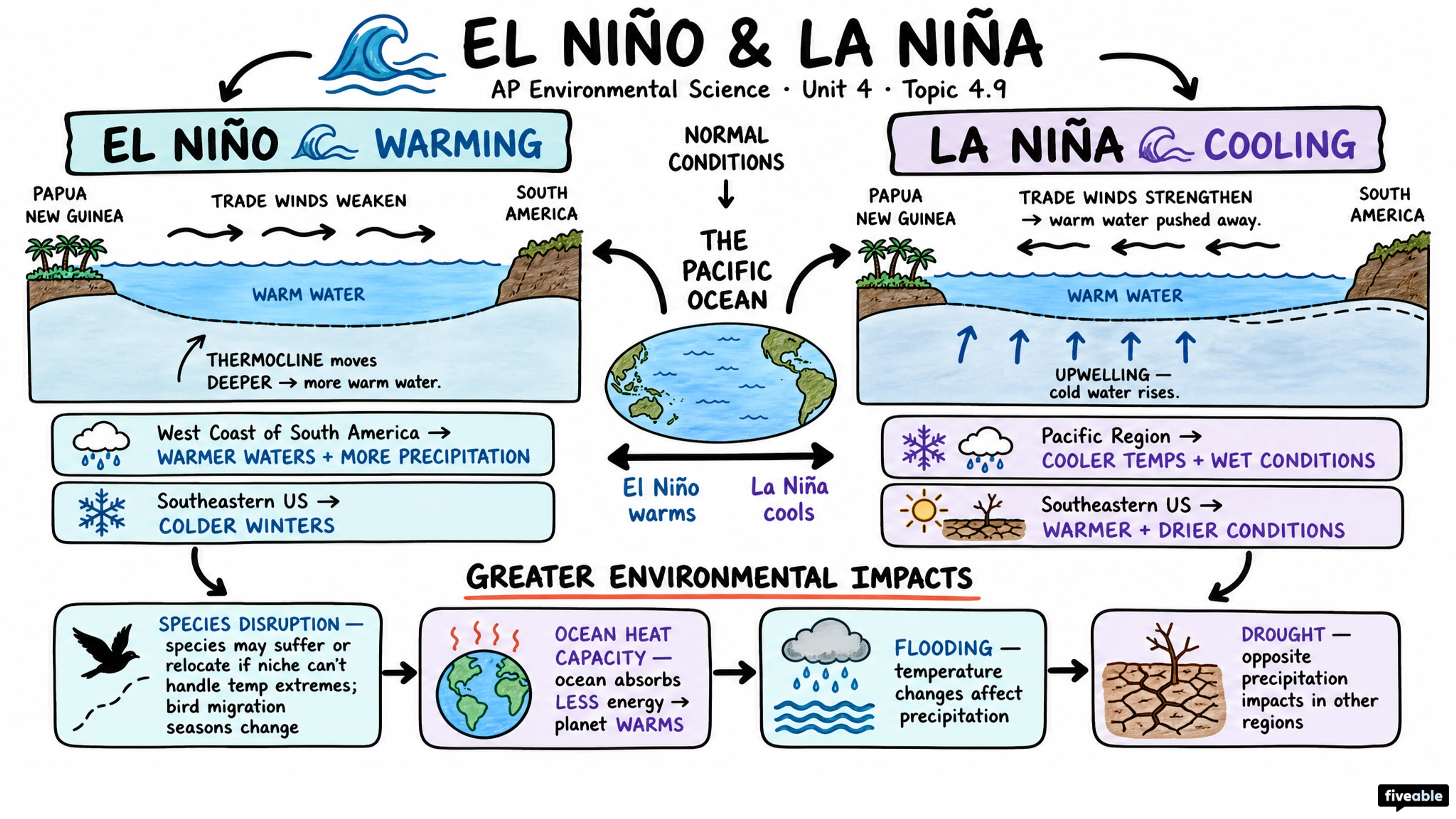 4.9 El Niño and La Niña - AP Environmental Science - Unit 4 visual cheatsheet