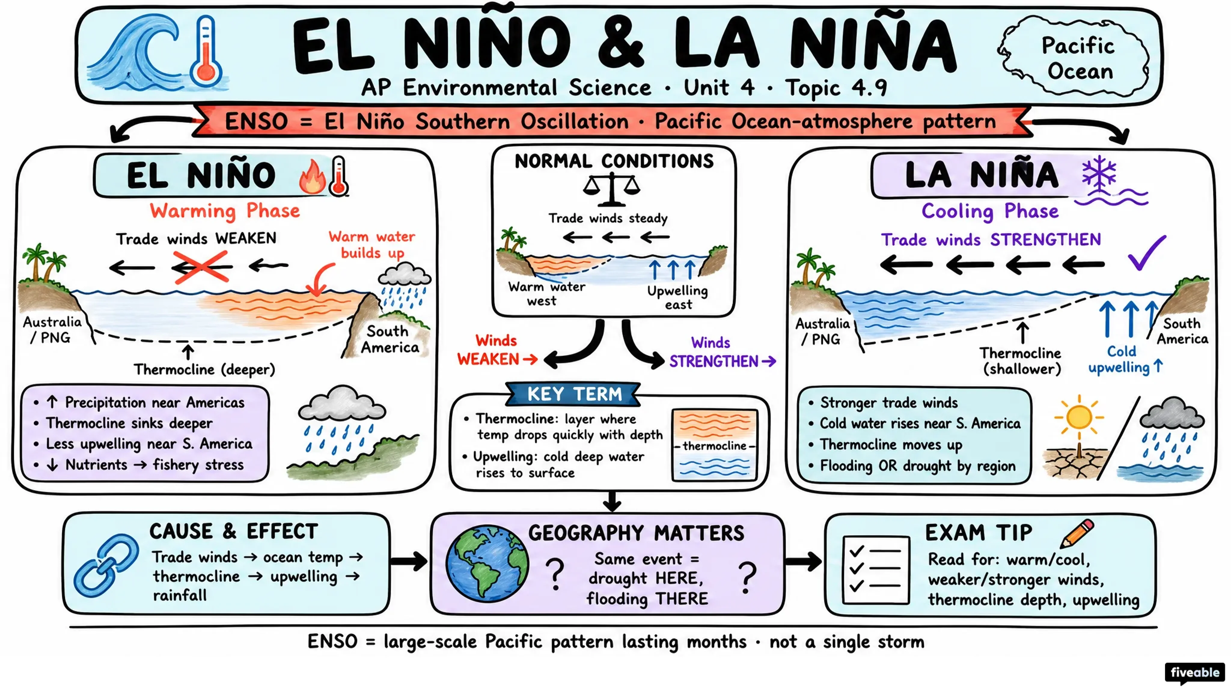 4.9 El Niño and La Niña - AP Environmental Science - Unit 4 visual cheatsheet