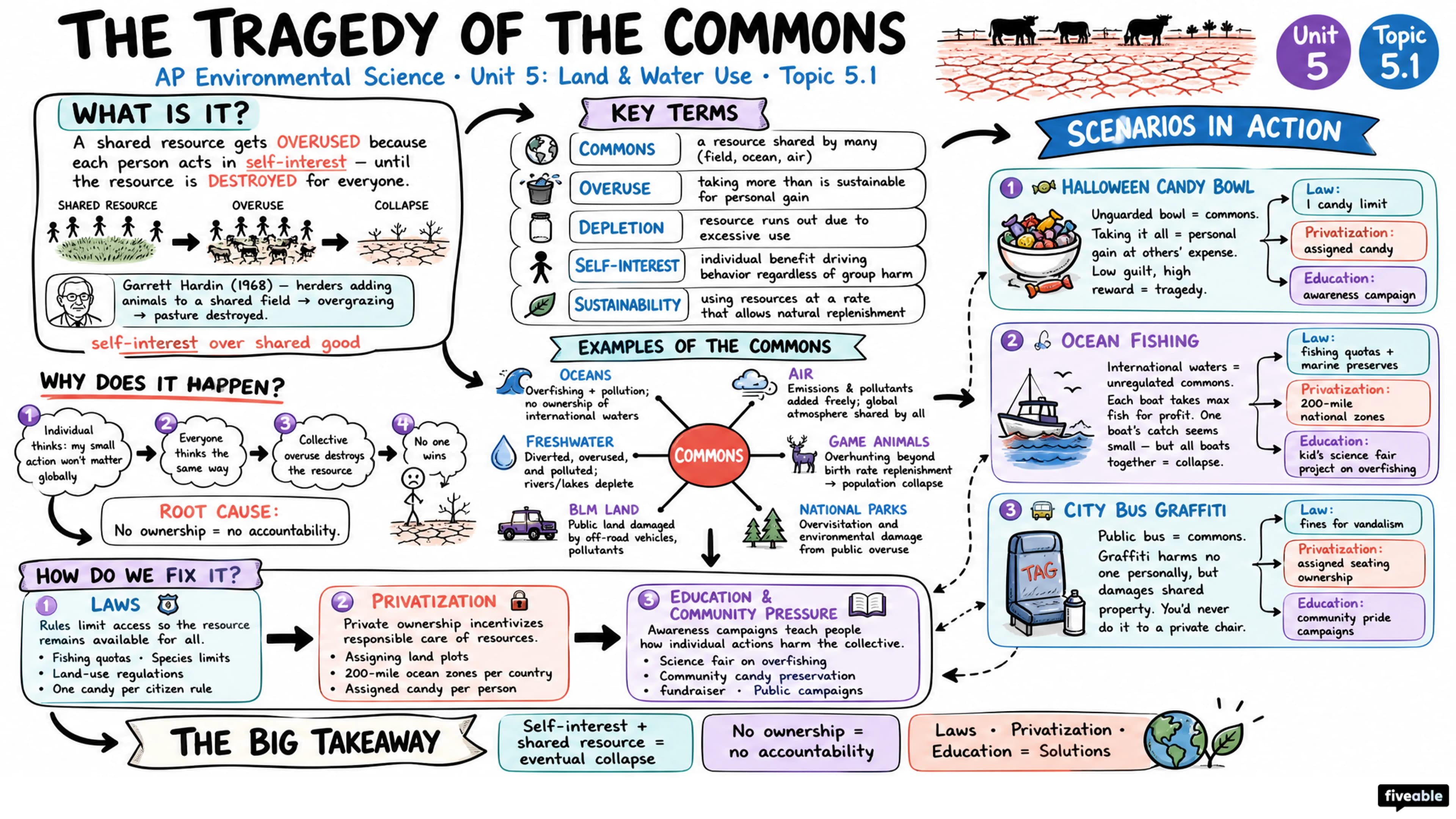 5.1 The Tragedy of the Commons - AP Environmental Science - Unit 5 visual cheatsheet
