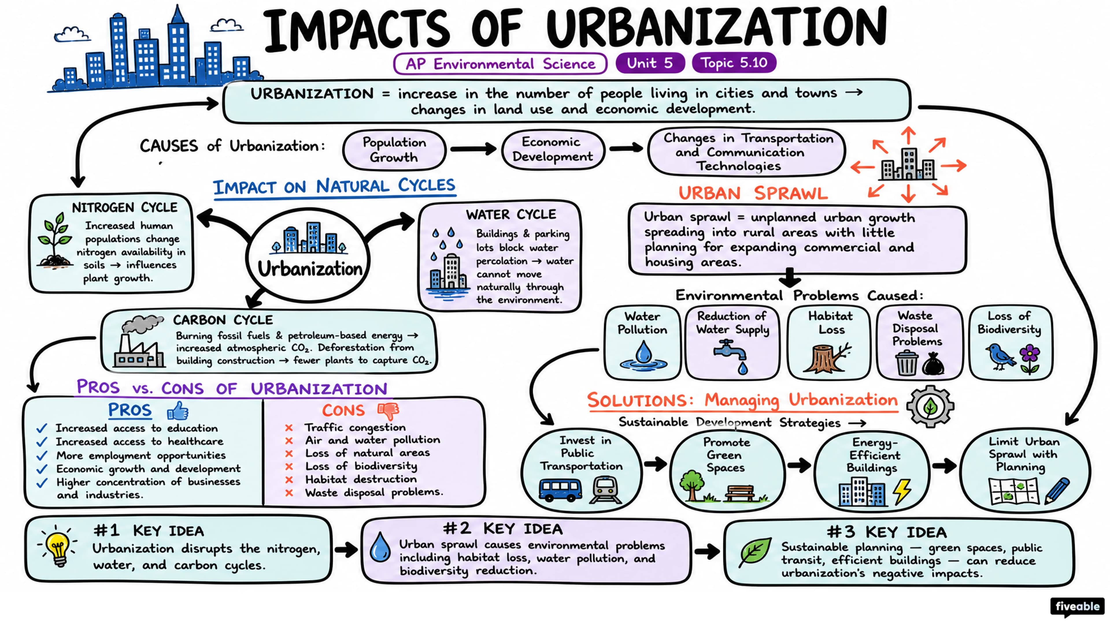 5.10 Impacts of Urbanization - AP Environmental Science - Unit 5 visual cheatsheet