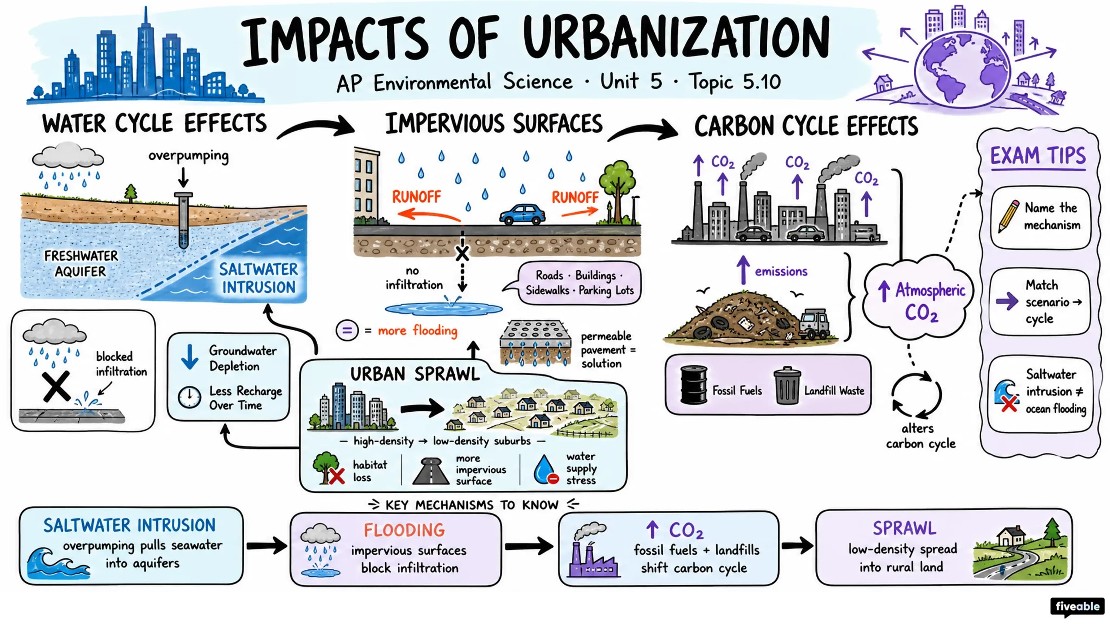 5.10 Impacts of Urbanization - AP Environmental Science - Unit 5 visual cheatsheet