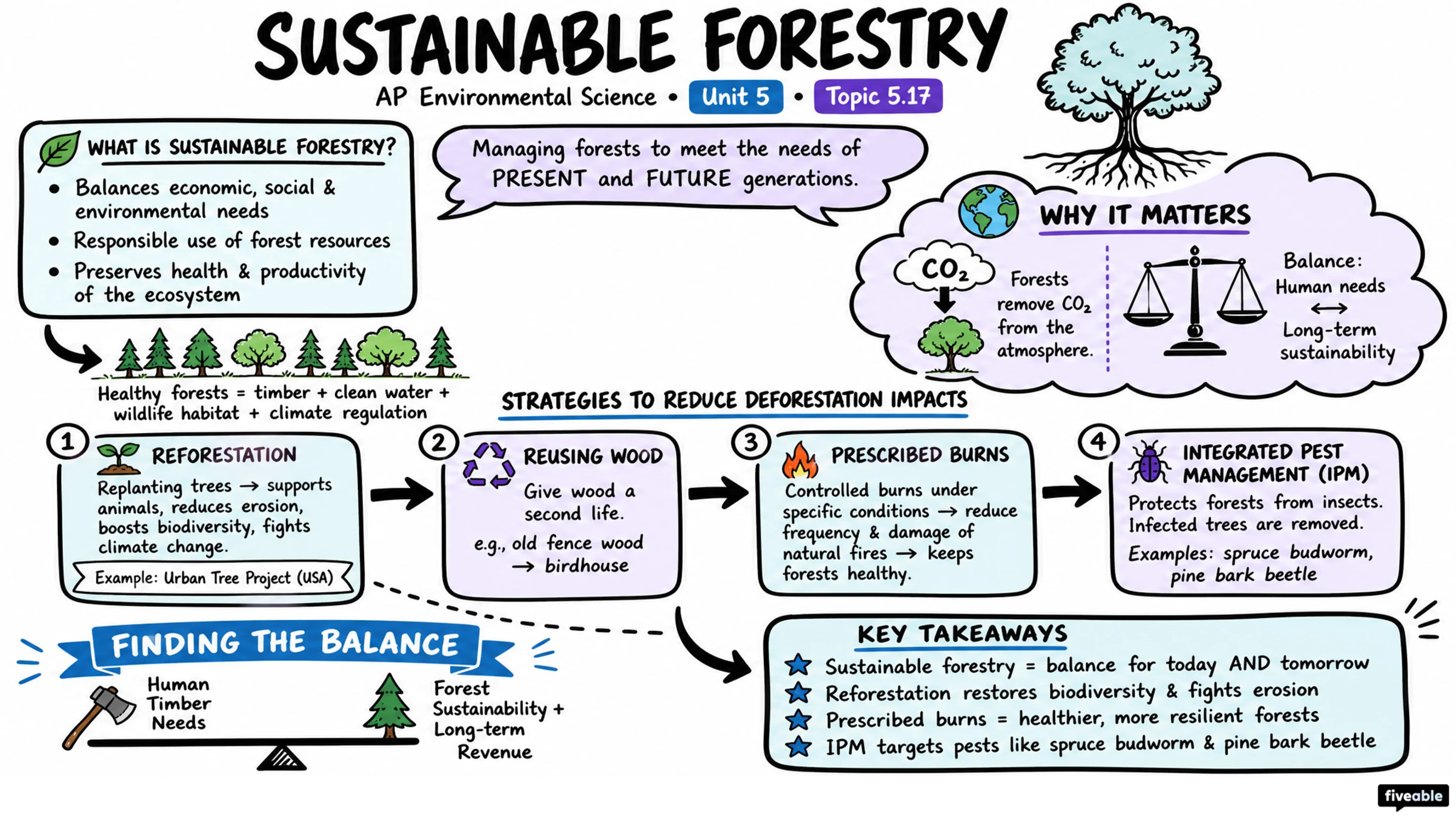 5.17 Sustainable Forestry - AP Environmental Science - Unit 5 visual cheatsheet