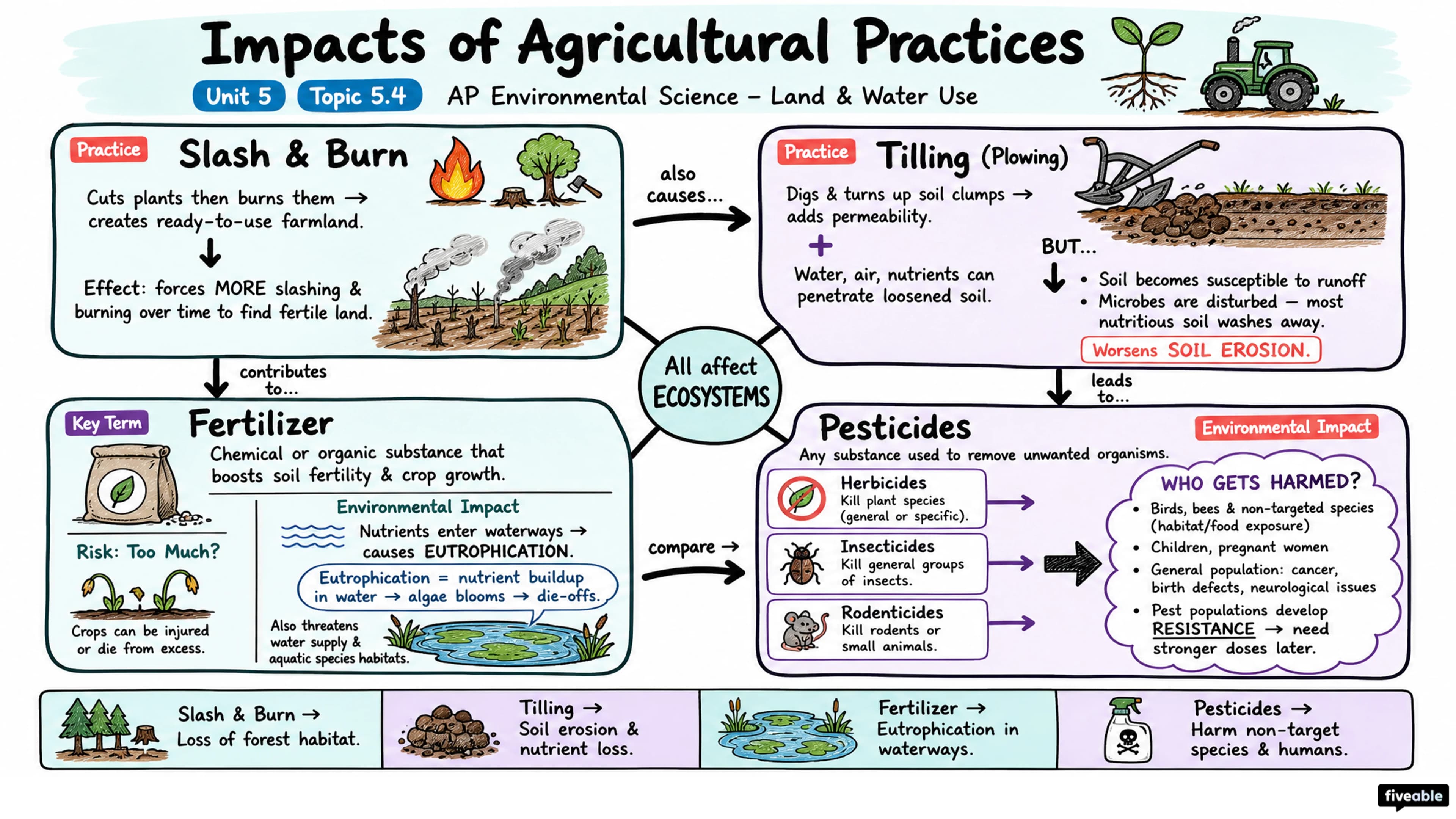 5.4 Impacts of Agricultural Practices - AP Environmental Science - Unit 5 visual cheatsheet