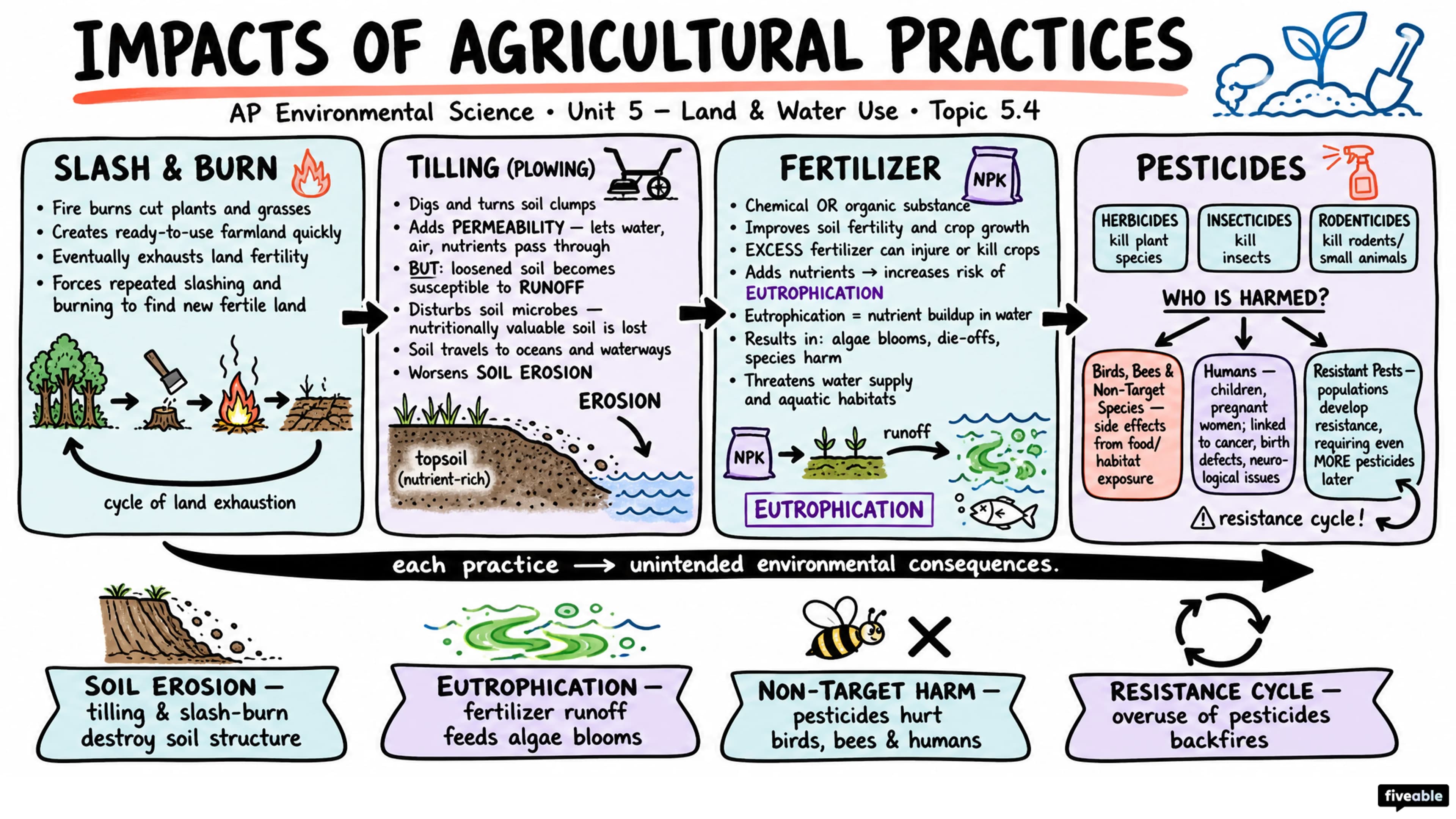 5.4 Impacts of Agricultural Practices - AP Environmental Science - Unit 5 visual cheatsheet